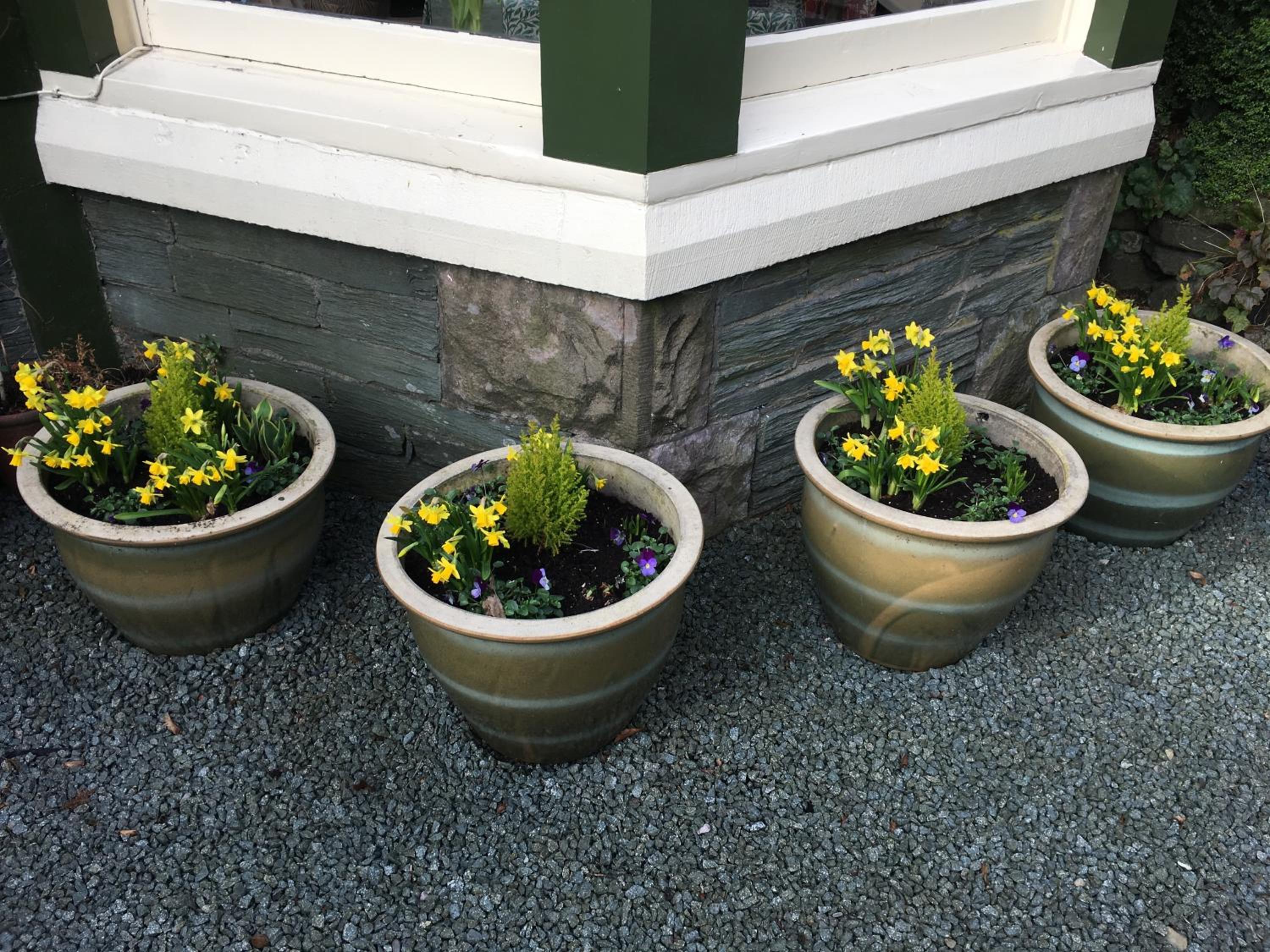 Burnside B&B