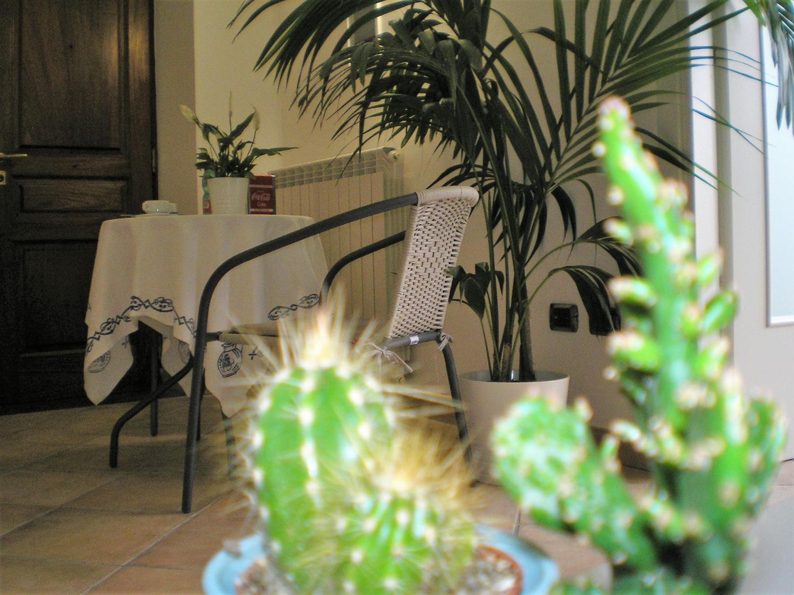 Photo 28