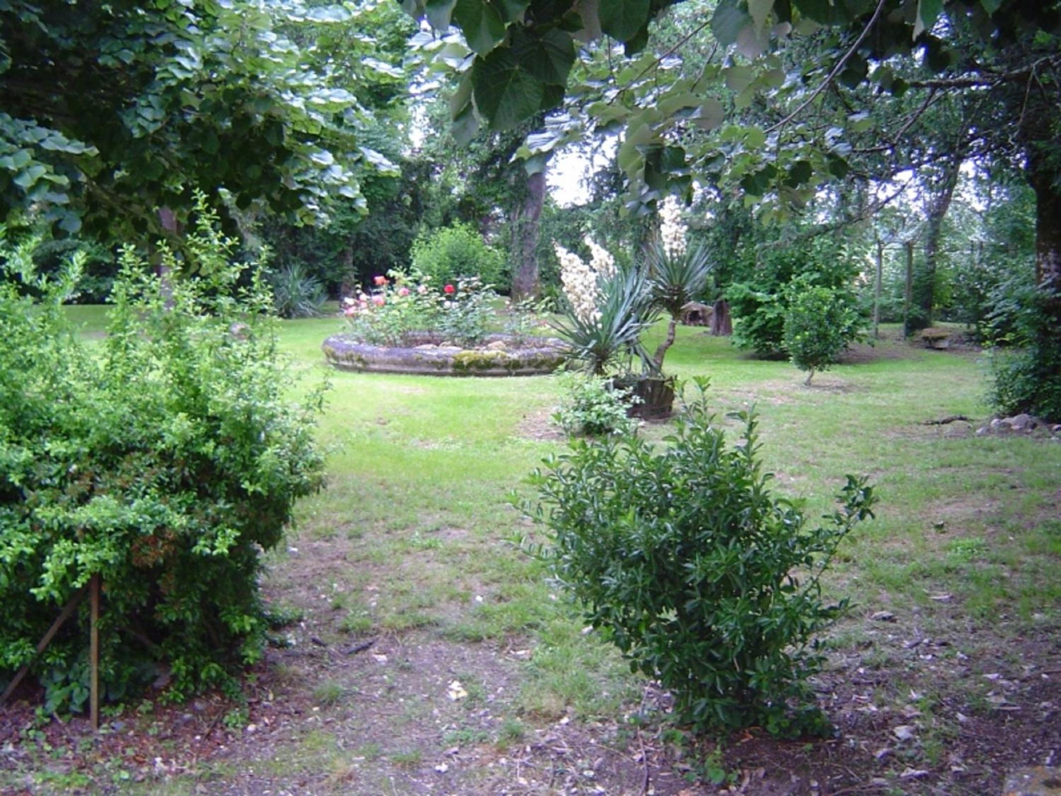 Photo 26