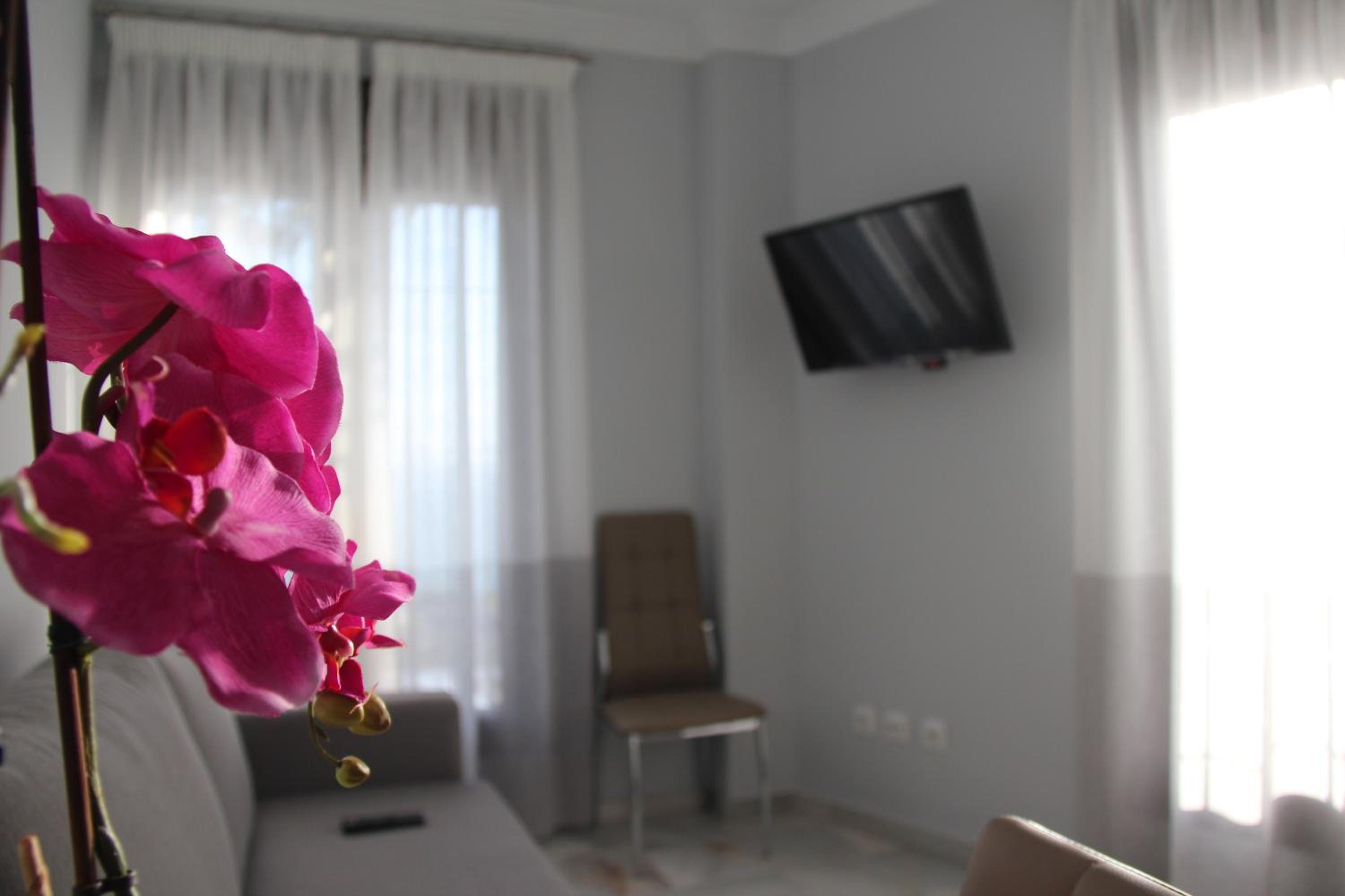 Apartamentos Maro VG