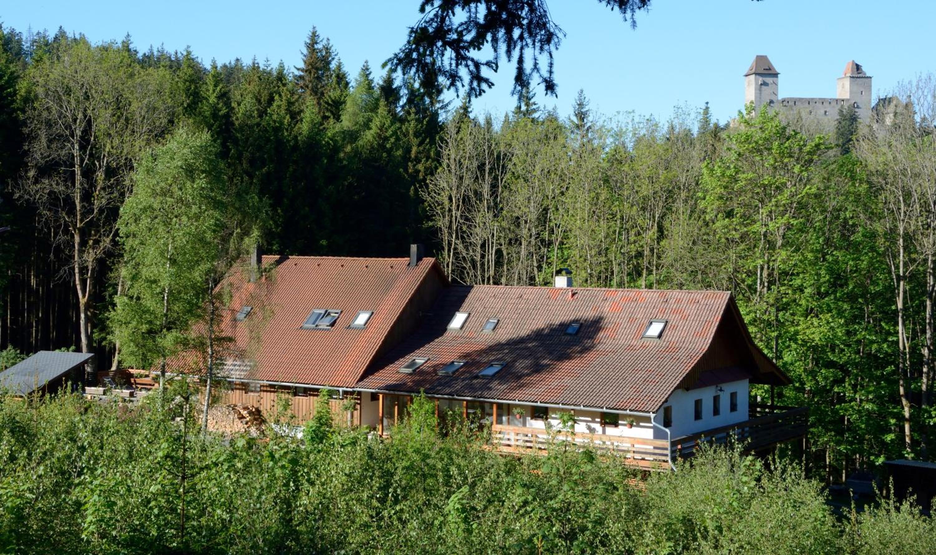 Photo 24
