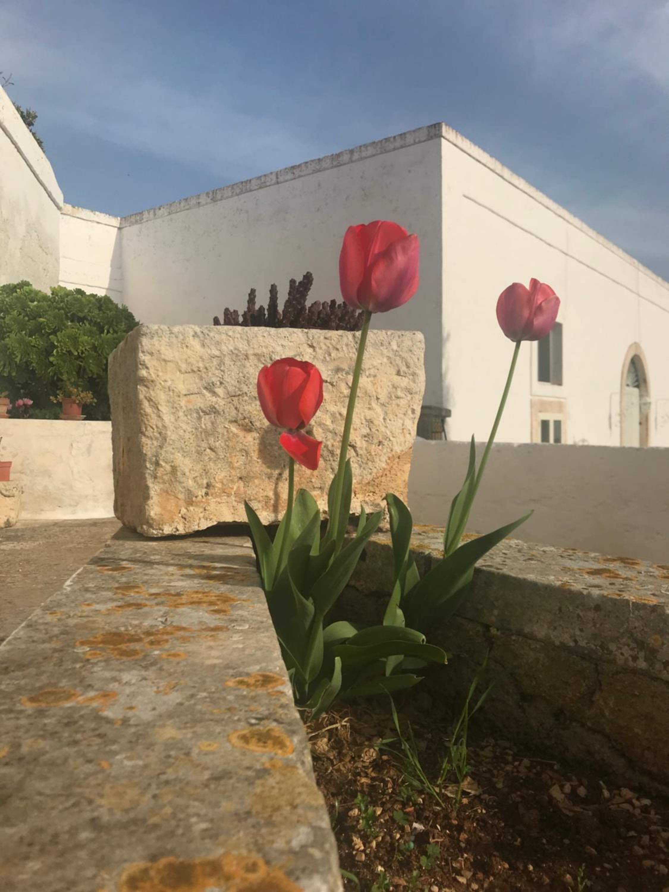 Masseria Rienzo
