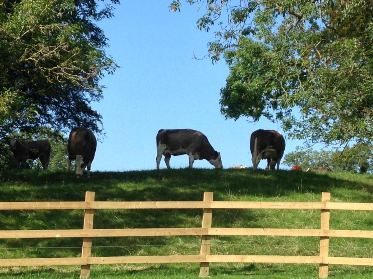 Brinsley Barn view 5