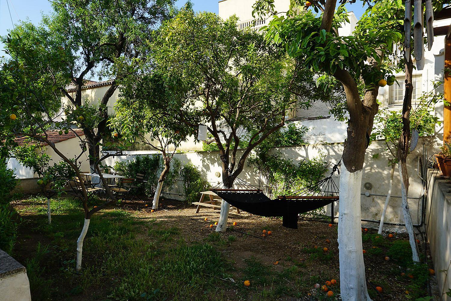 Photo 31