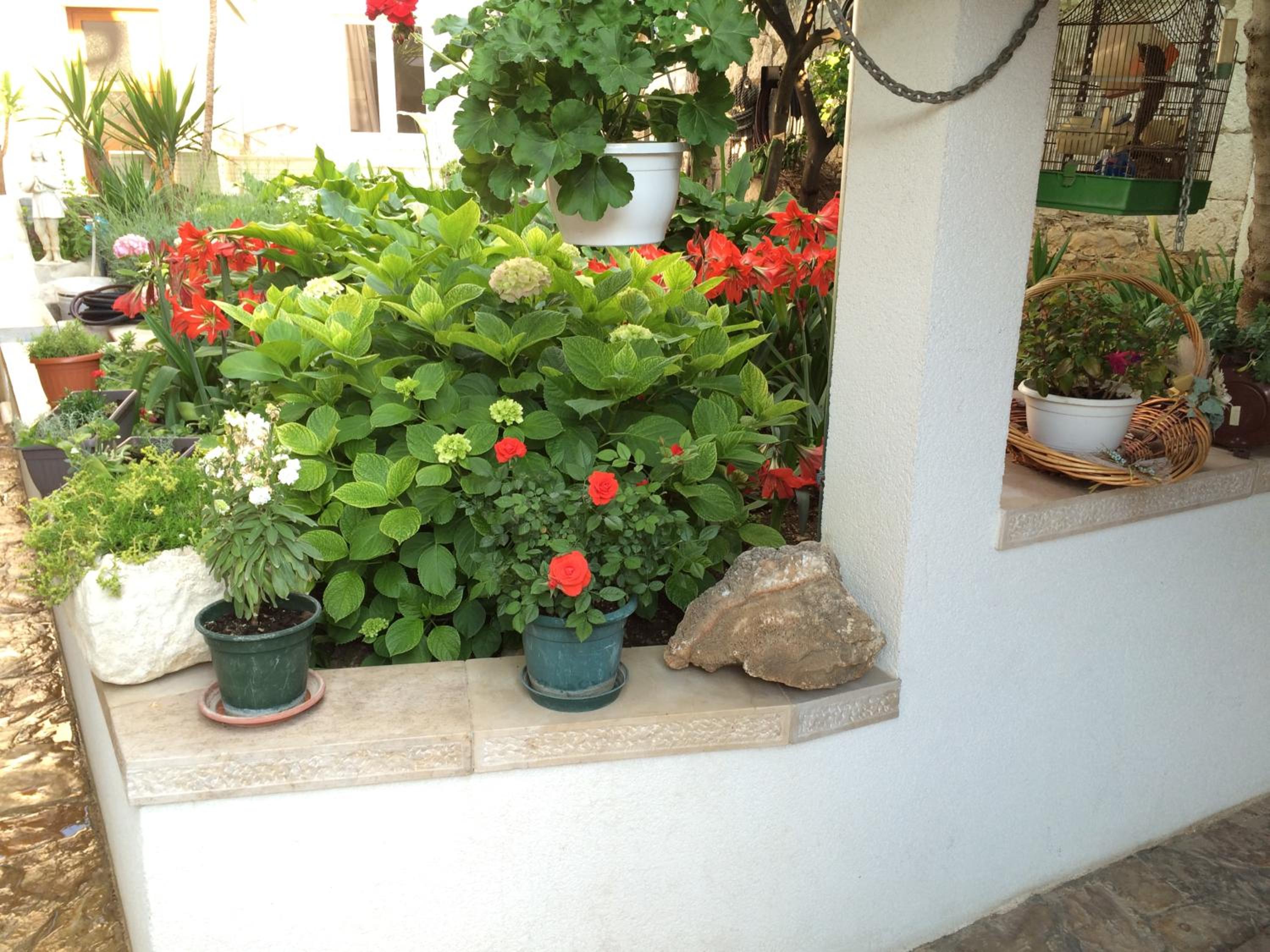 Photo 6