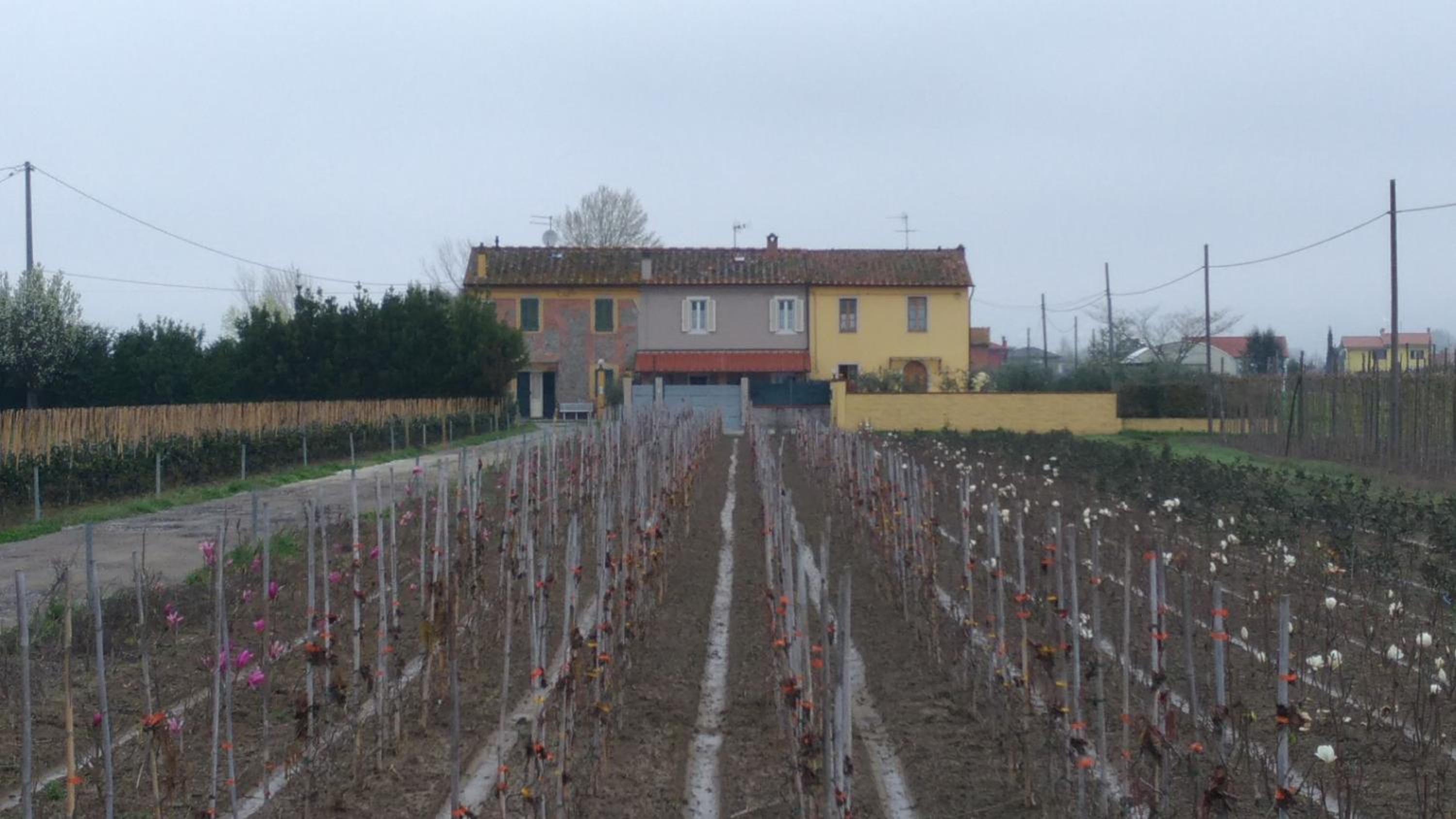 La Valinfiore Charming Home