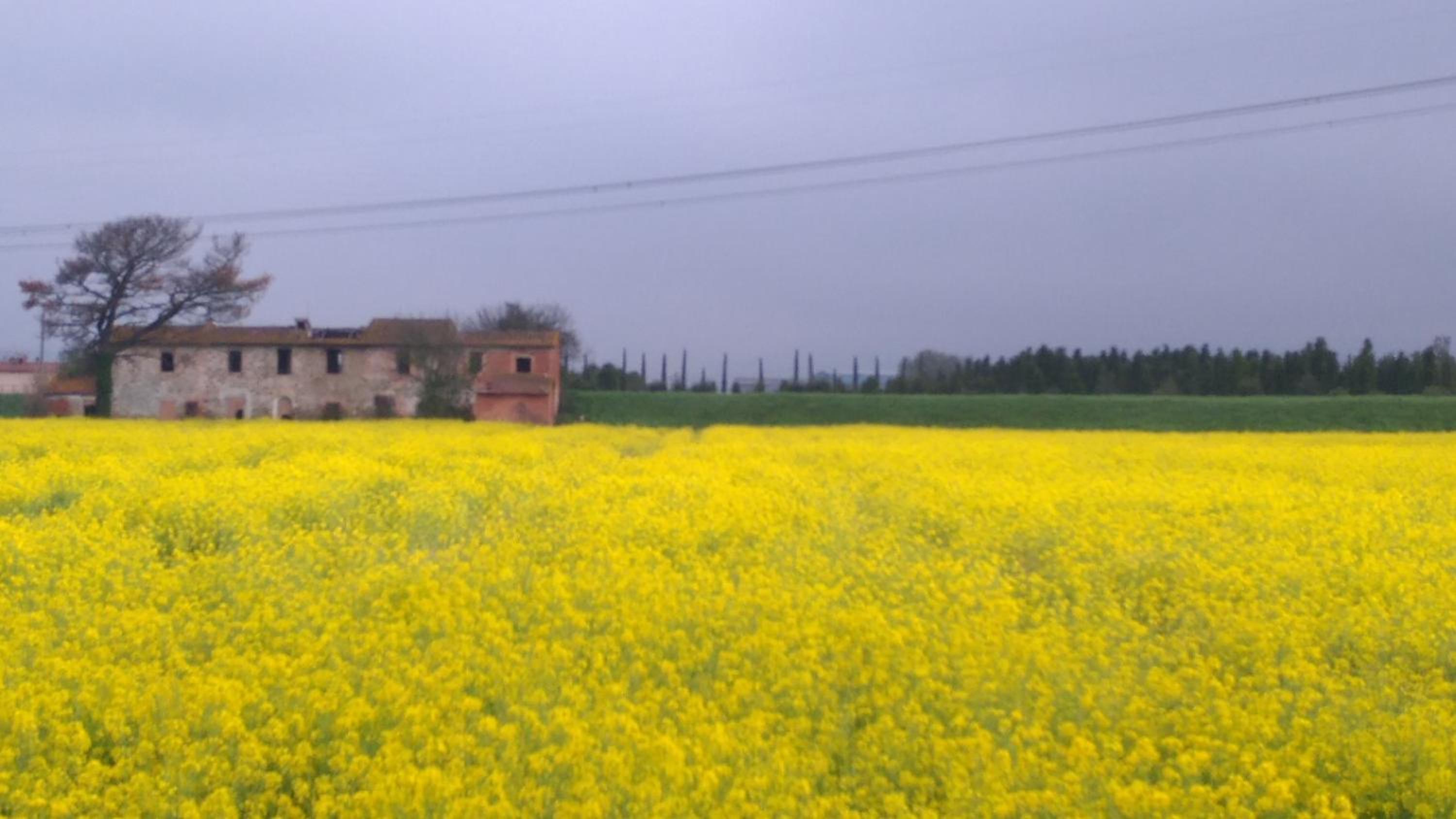 La Valinfiore Charming Home