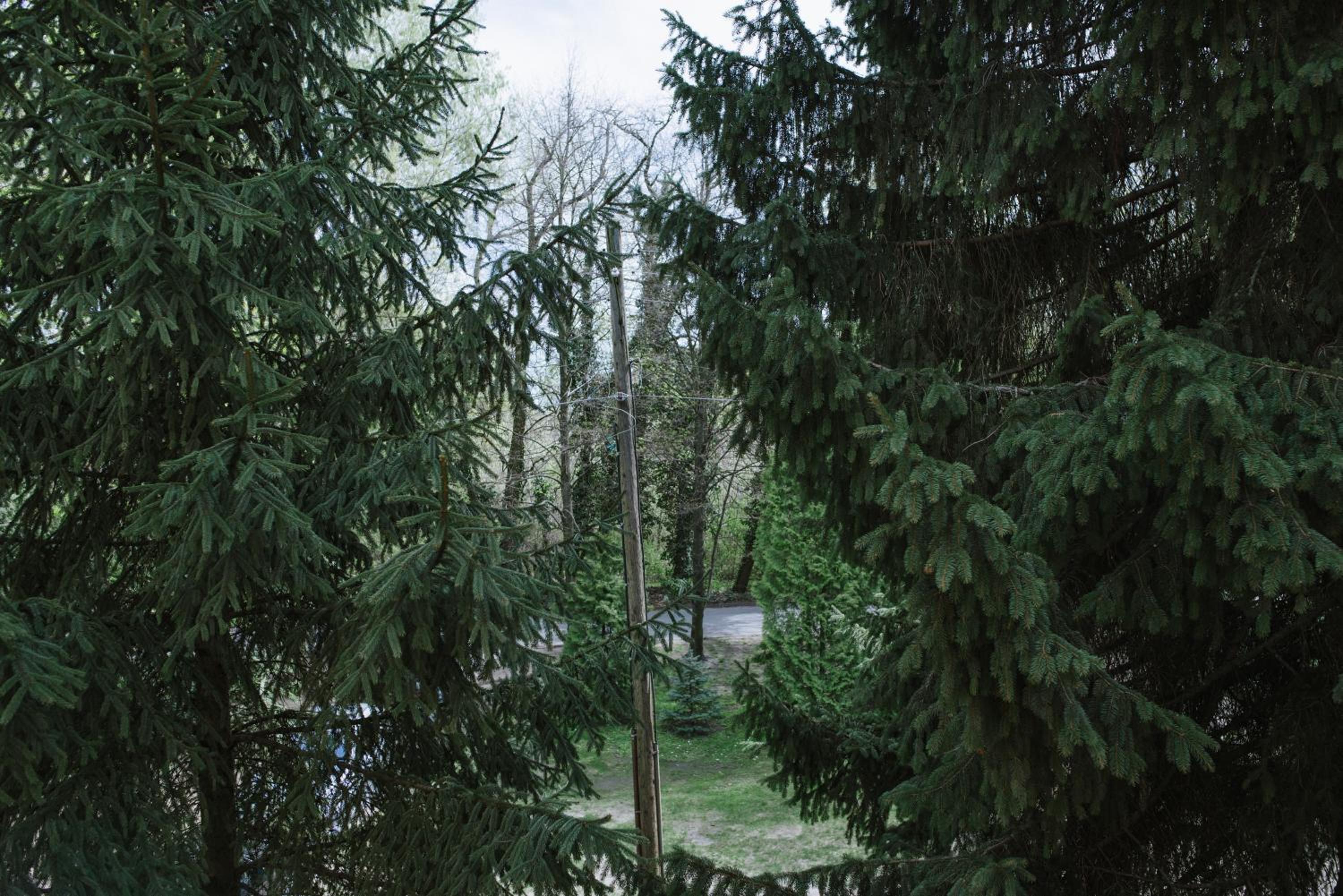 Photo 32
