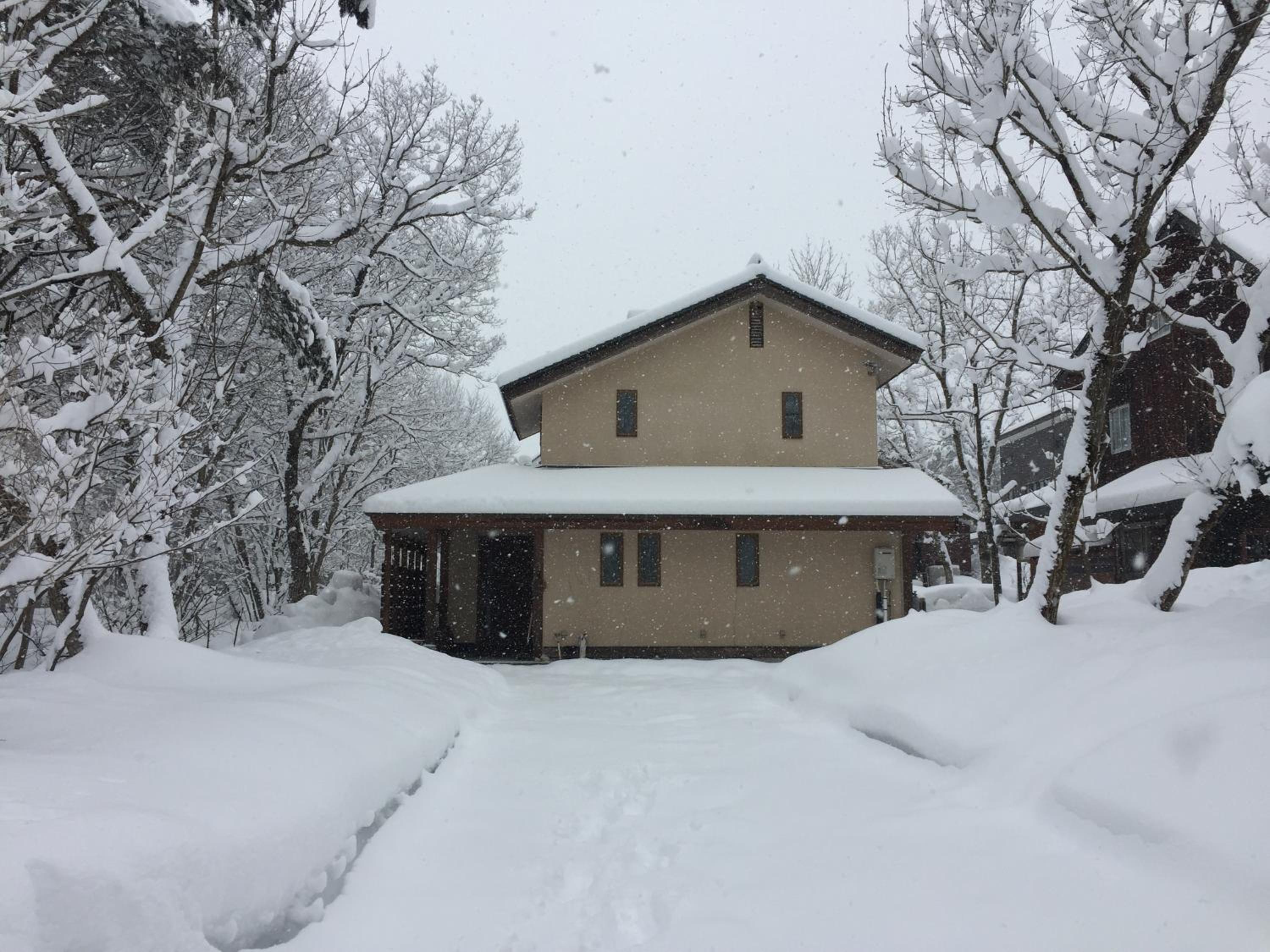 Shirokuma Lodge Hakuba view 2