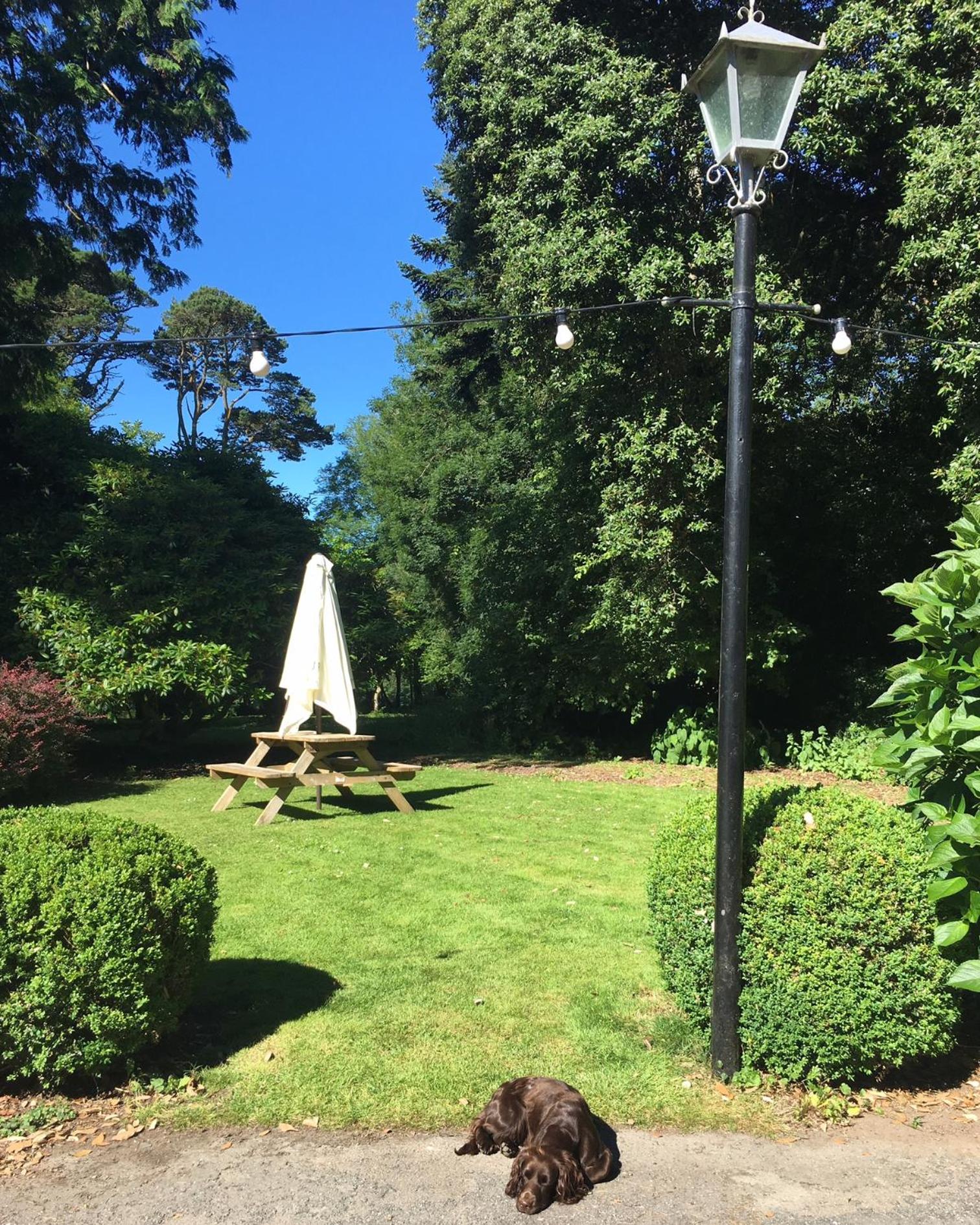 Penmorvah Manor Hotel, photo 33