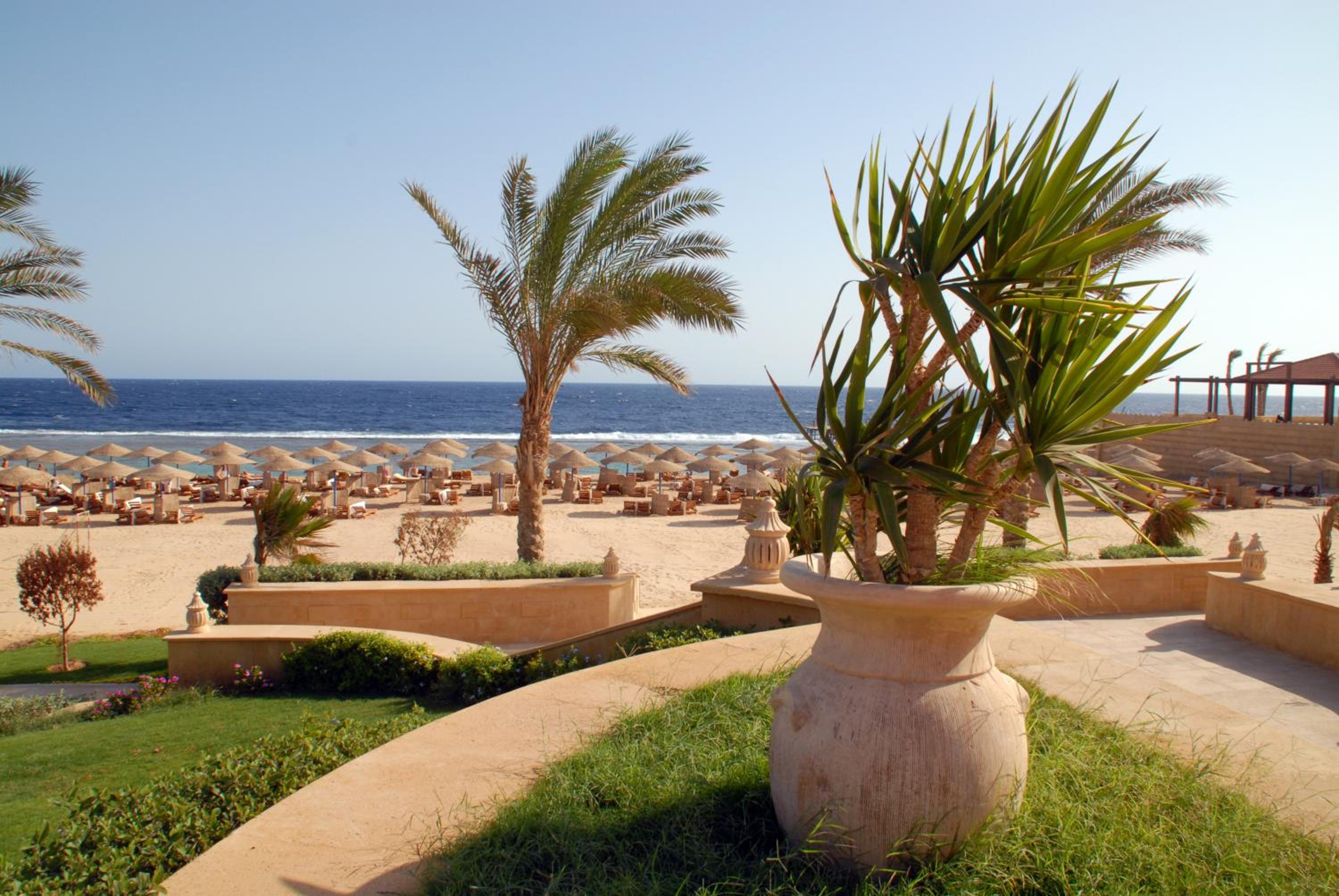 JAZ Neo Reef Marsa — photo 40