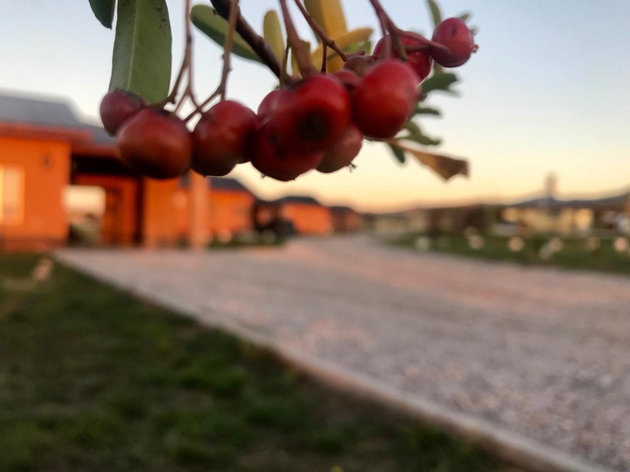 Puesta del Sol Houses & Nature