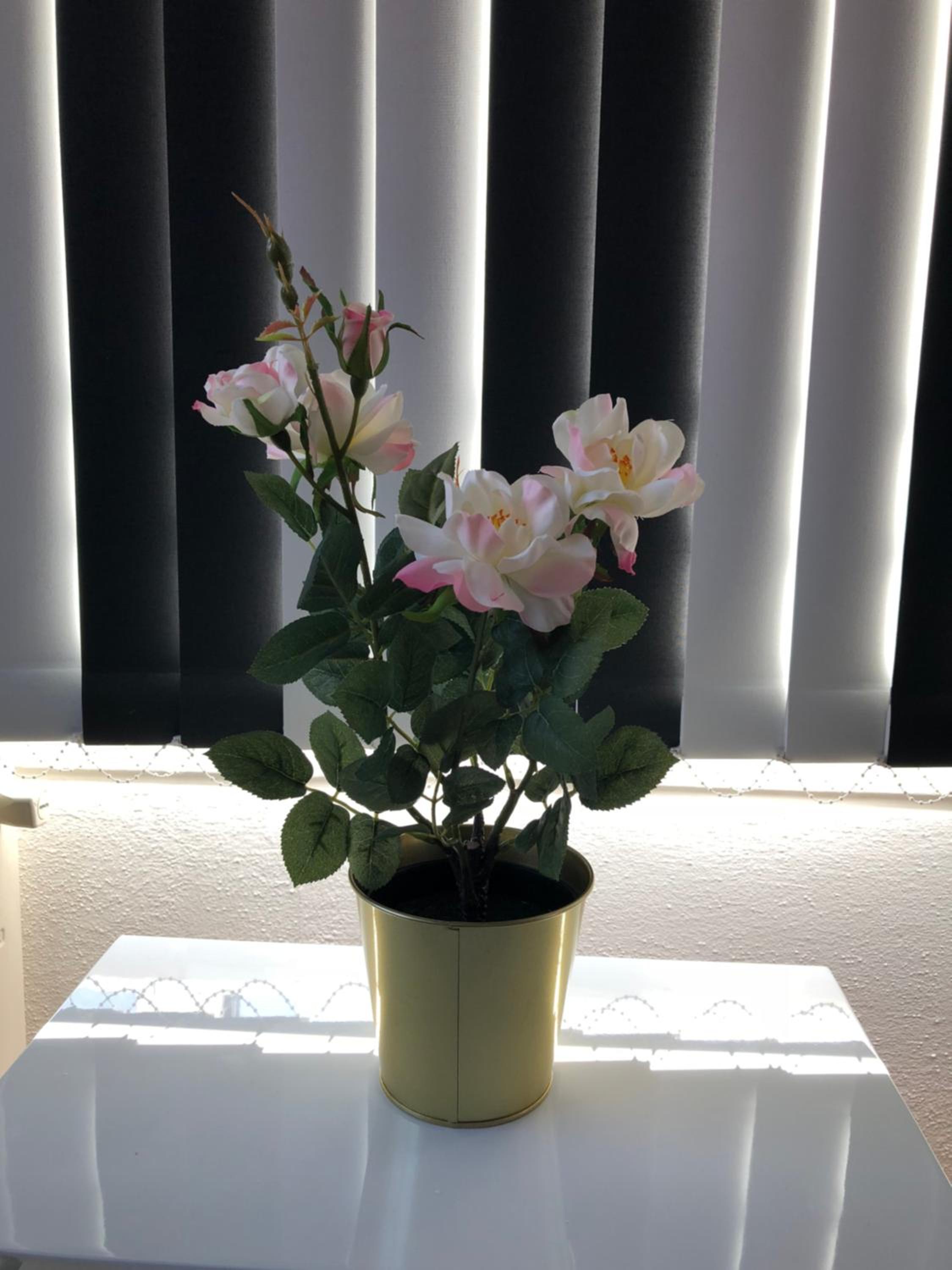 Photo 36