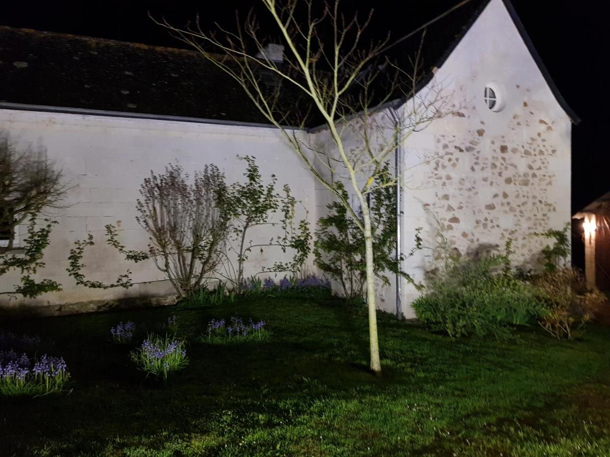 Photo 19