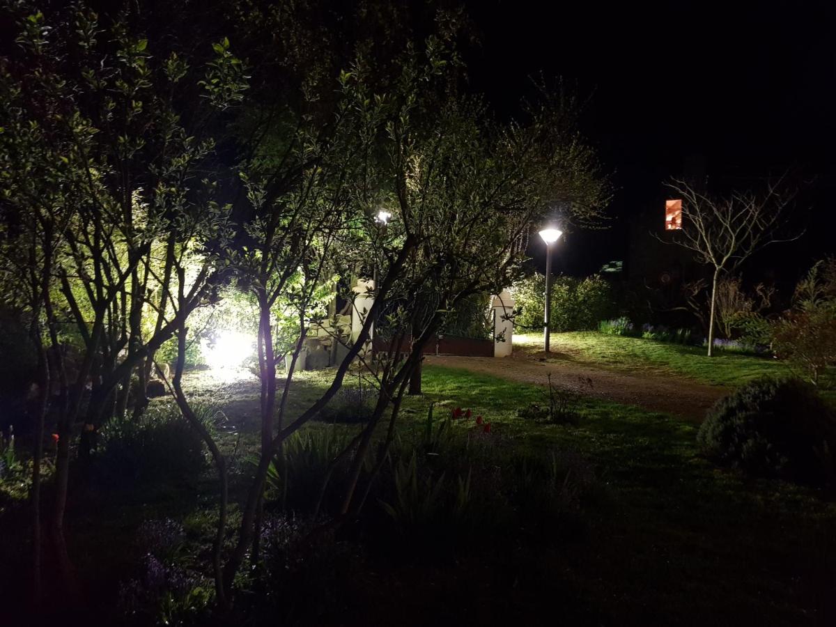 Photo 21