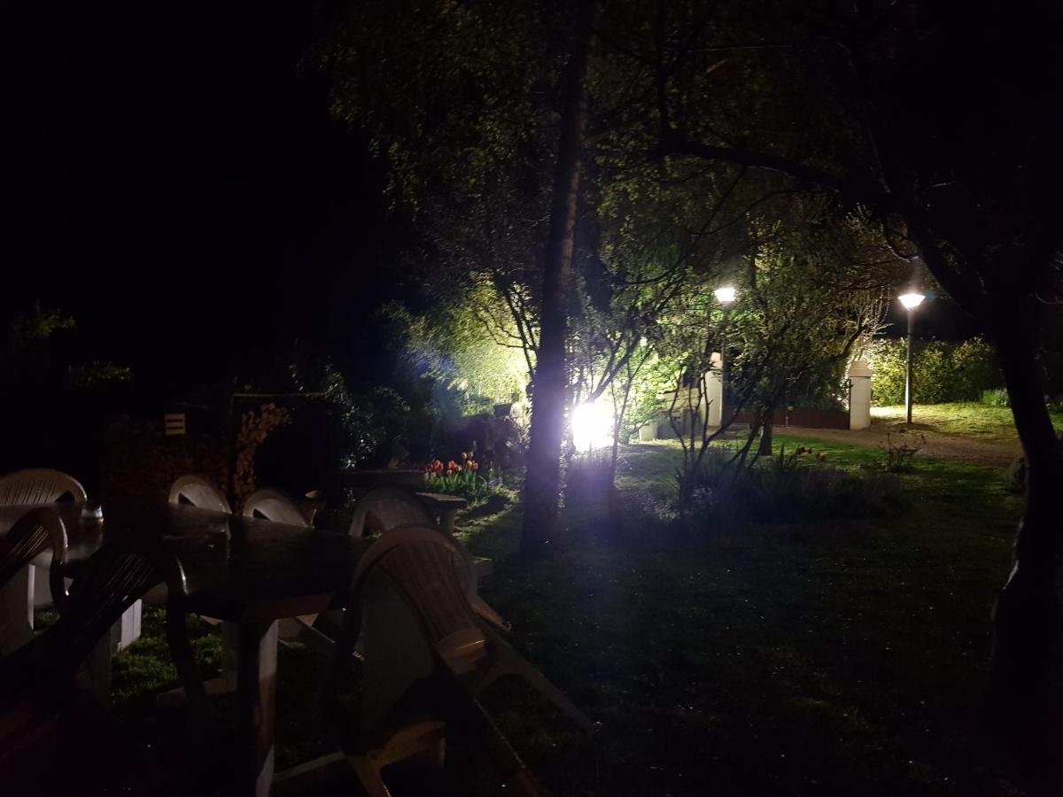 Photo 22