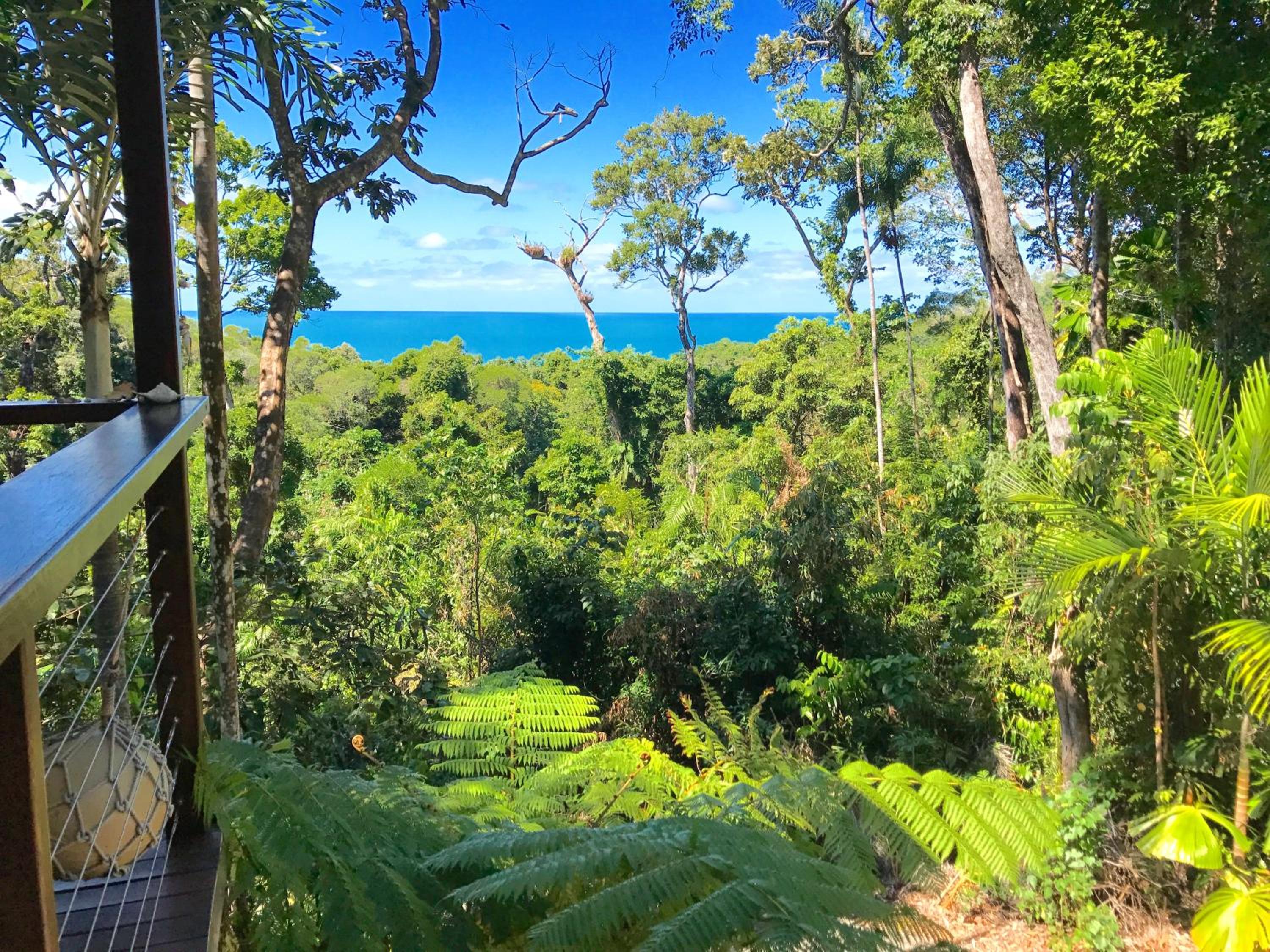 Daintree Magic Holiday House
