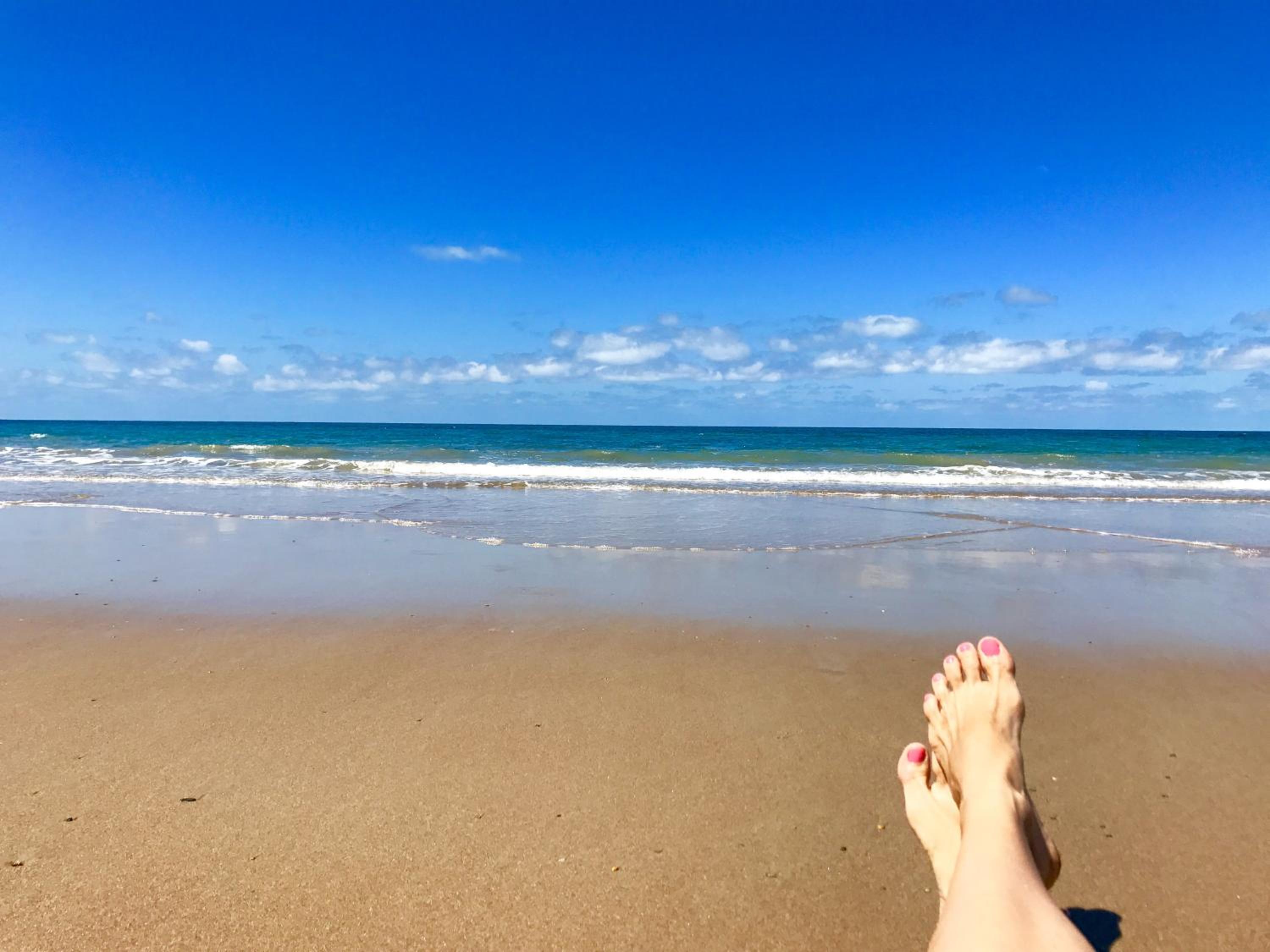 Daintree Magic Holiday House