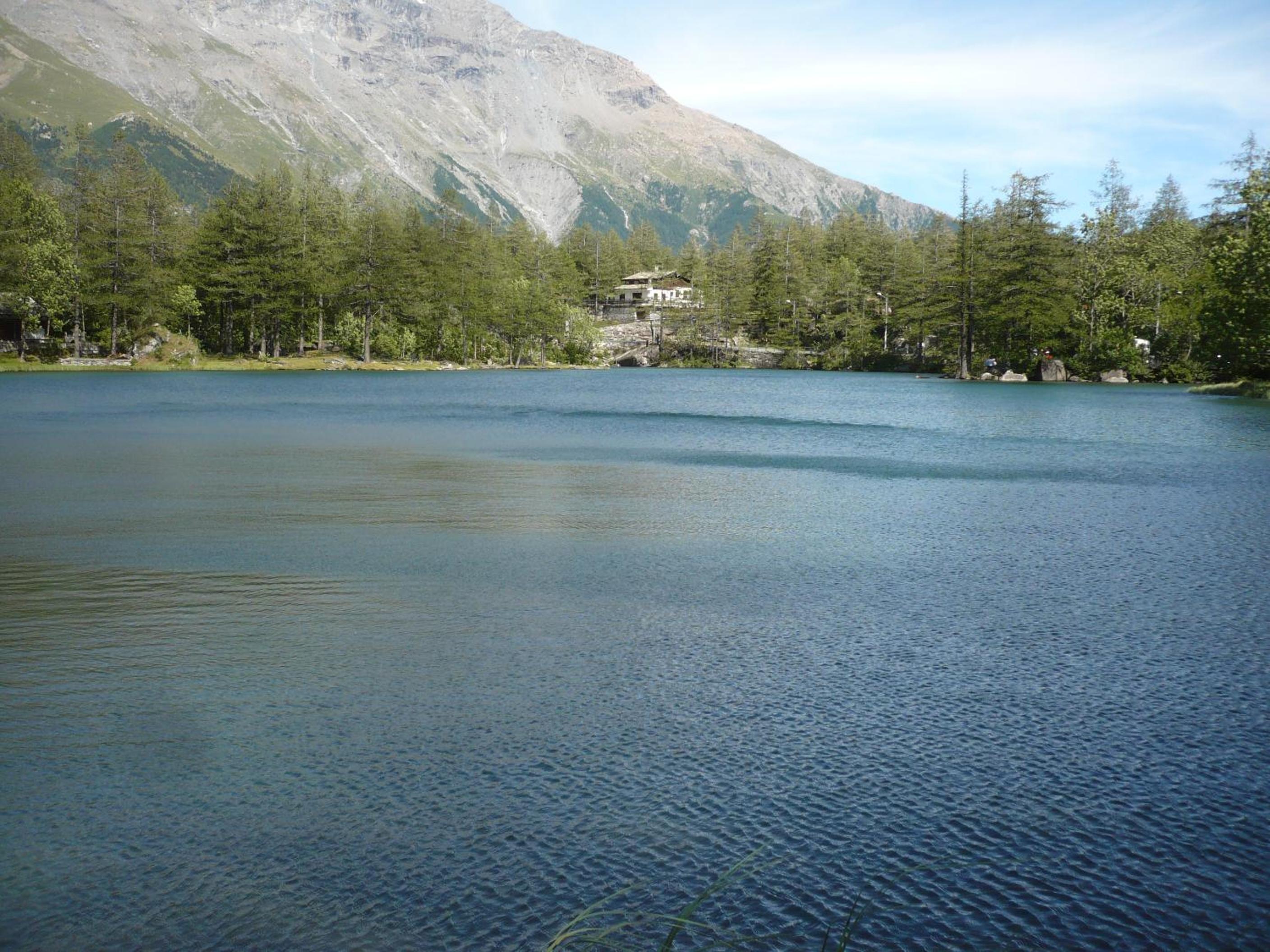 Photo 16