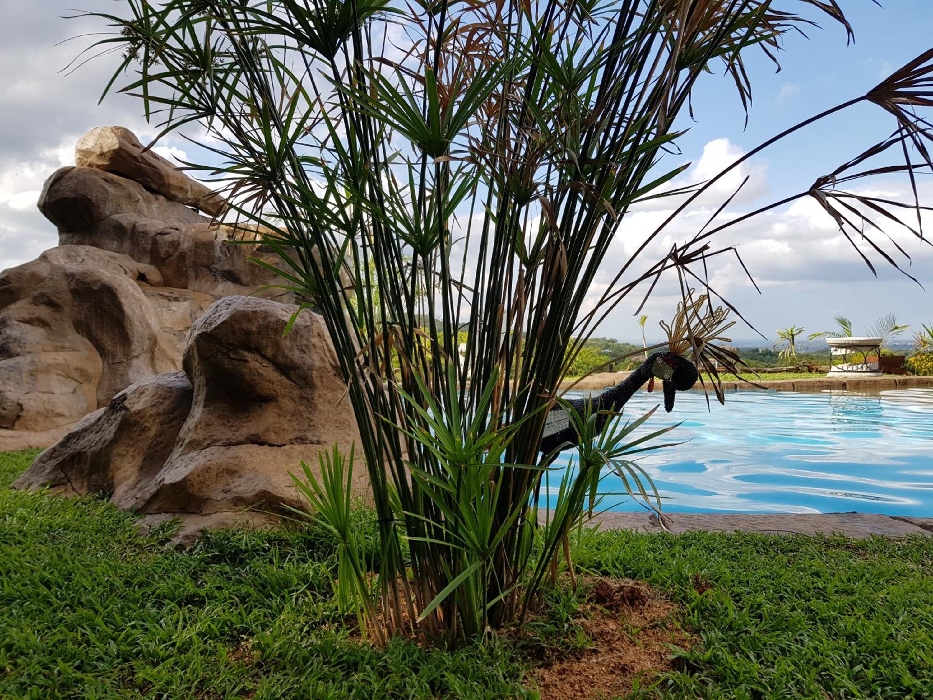 Hazyview Vacations - Numbi Hills Self-Catering - Property Image 5