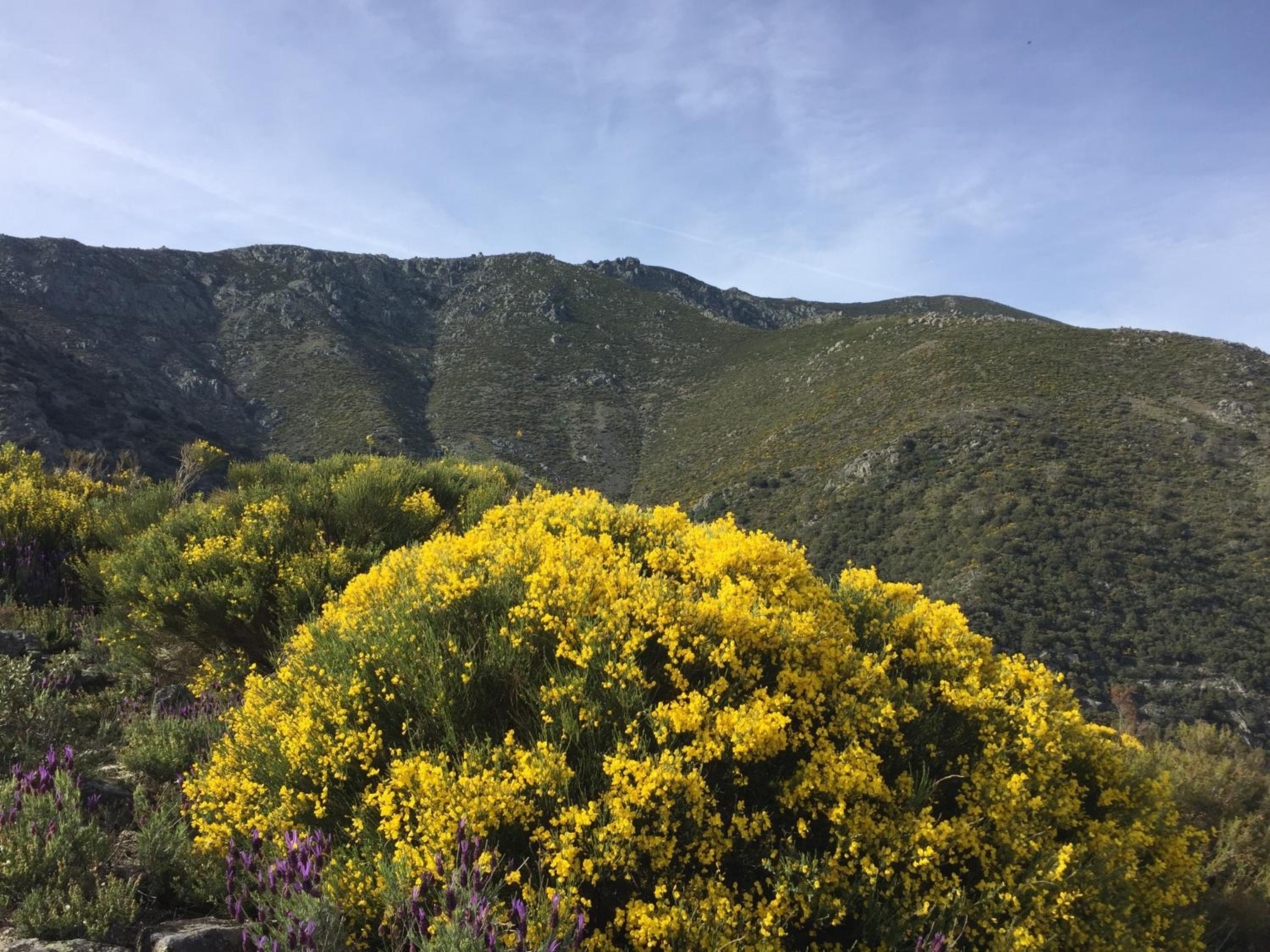 Casa Rural Sierra de Tormantos view 3