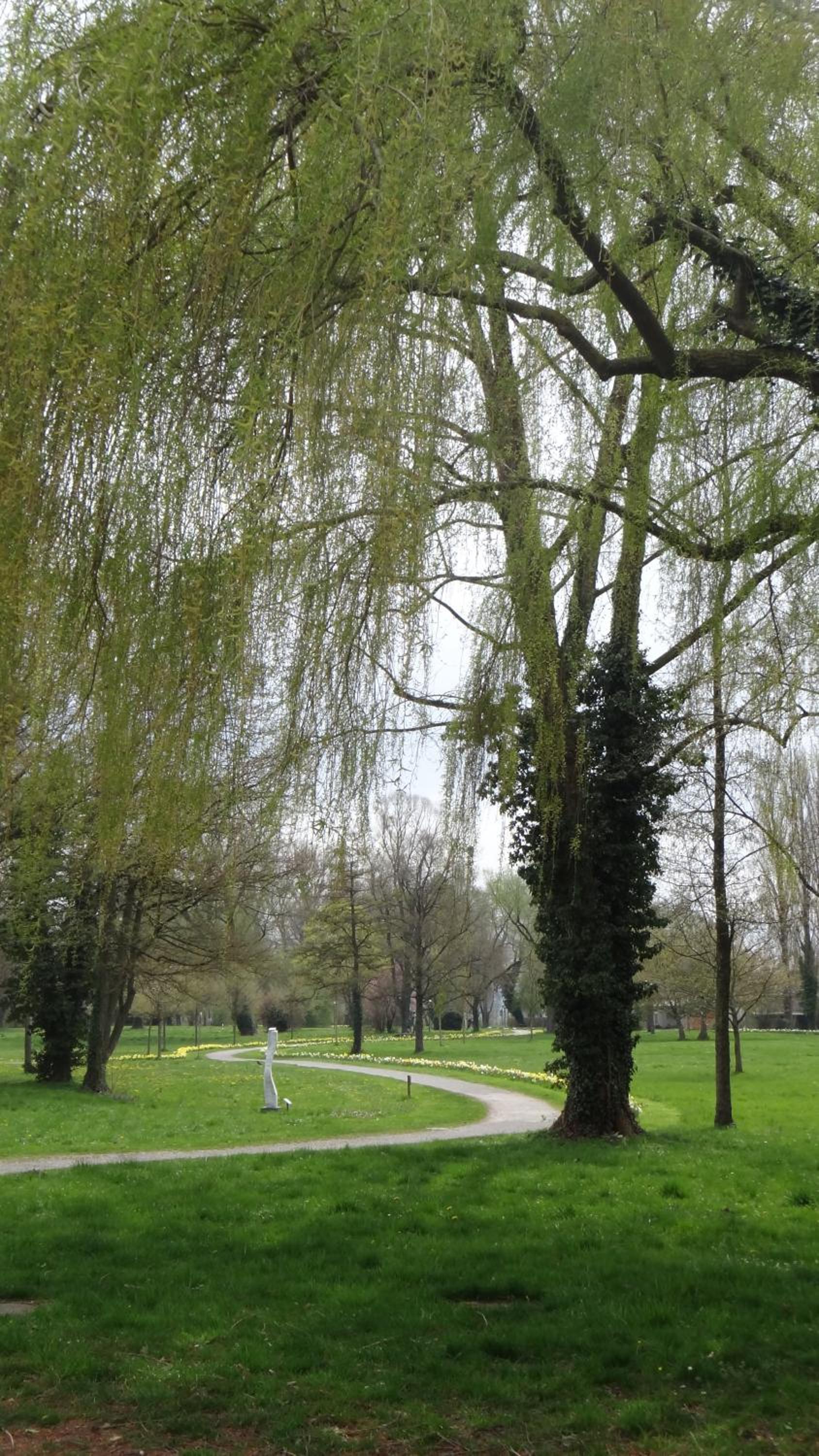 Auszeit am Bodensee