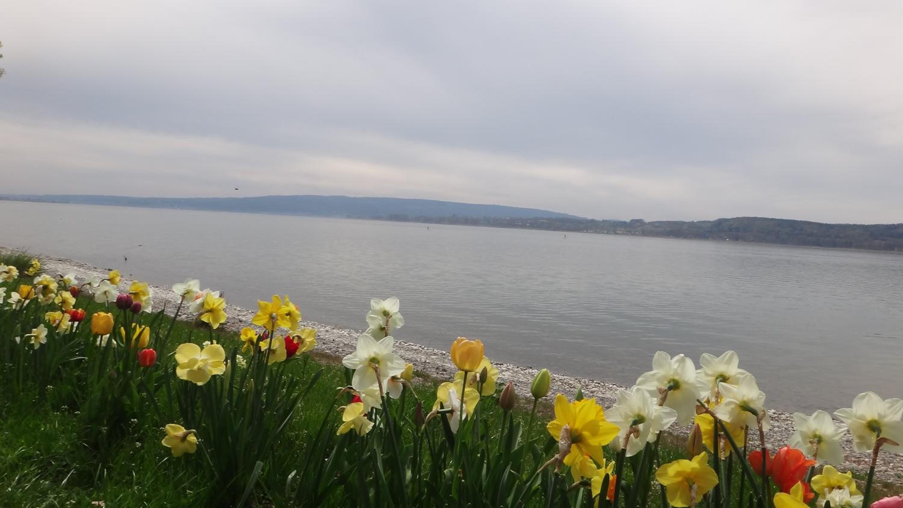 Auszeit am Bodensee