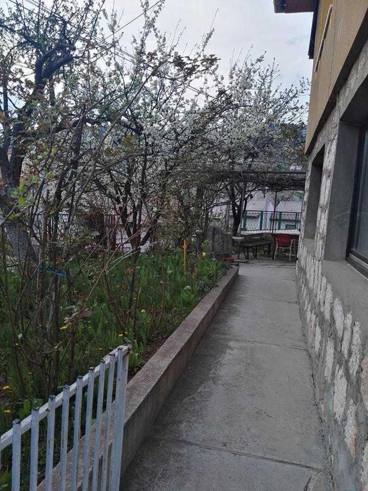 Apartment Panorama