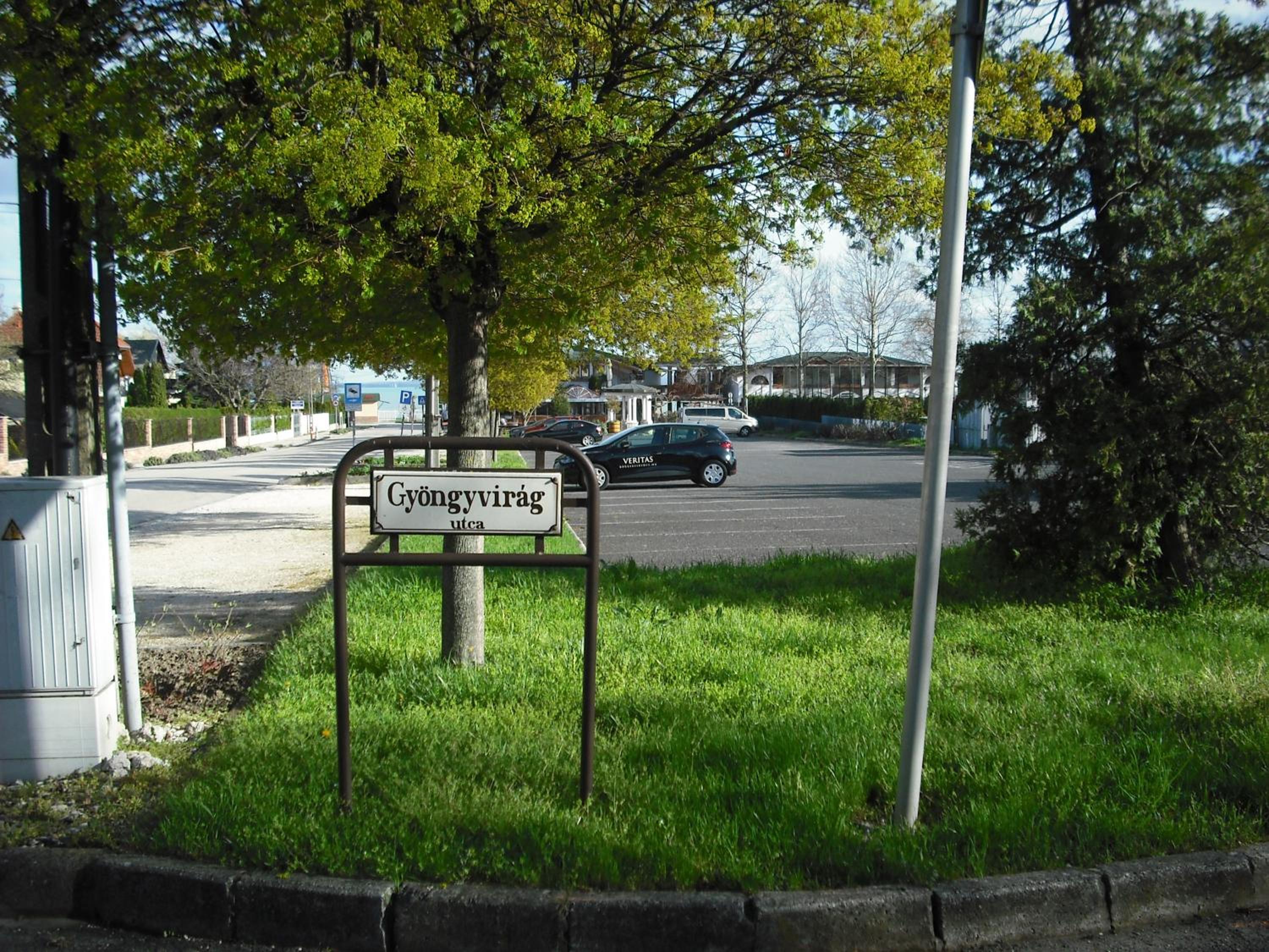 Photo 37