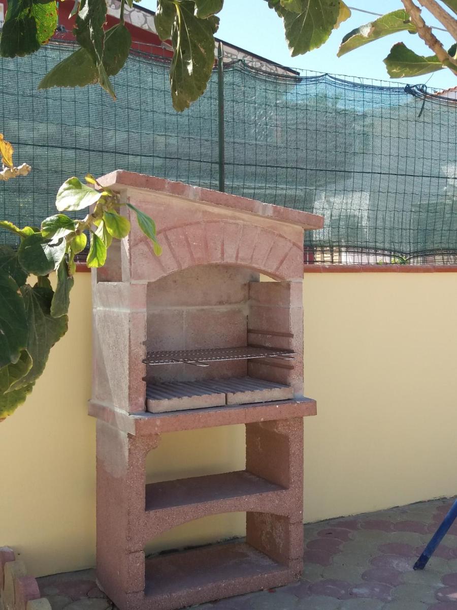 Photo 12
