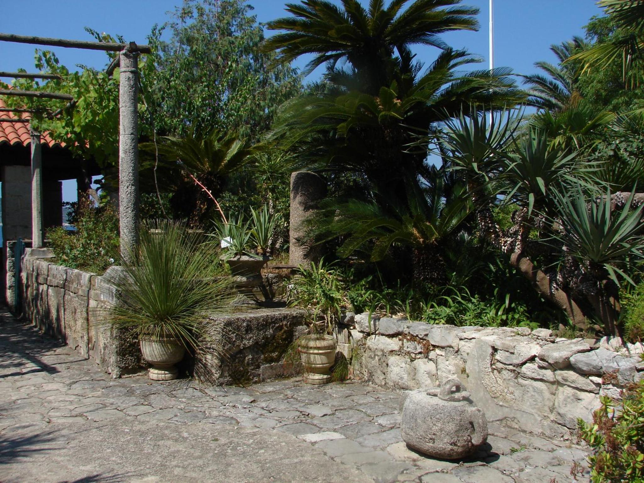Photo 33