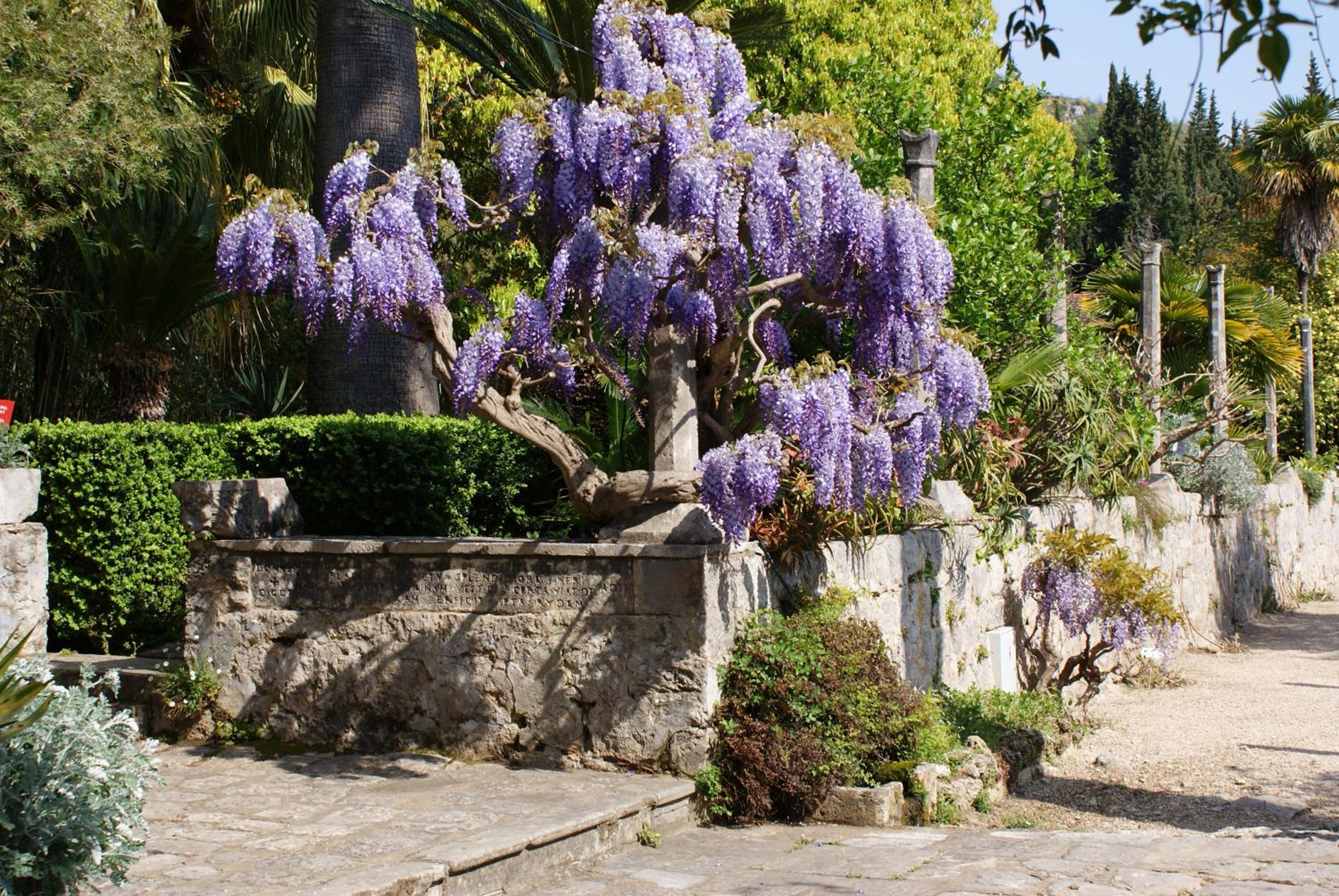 Photo 37