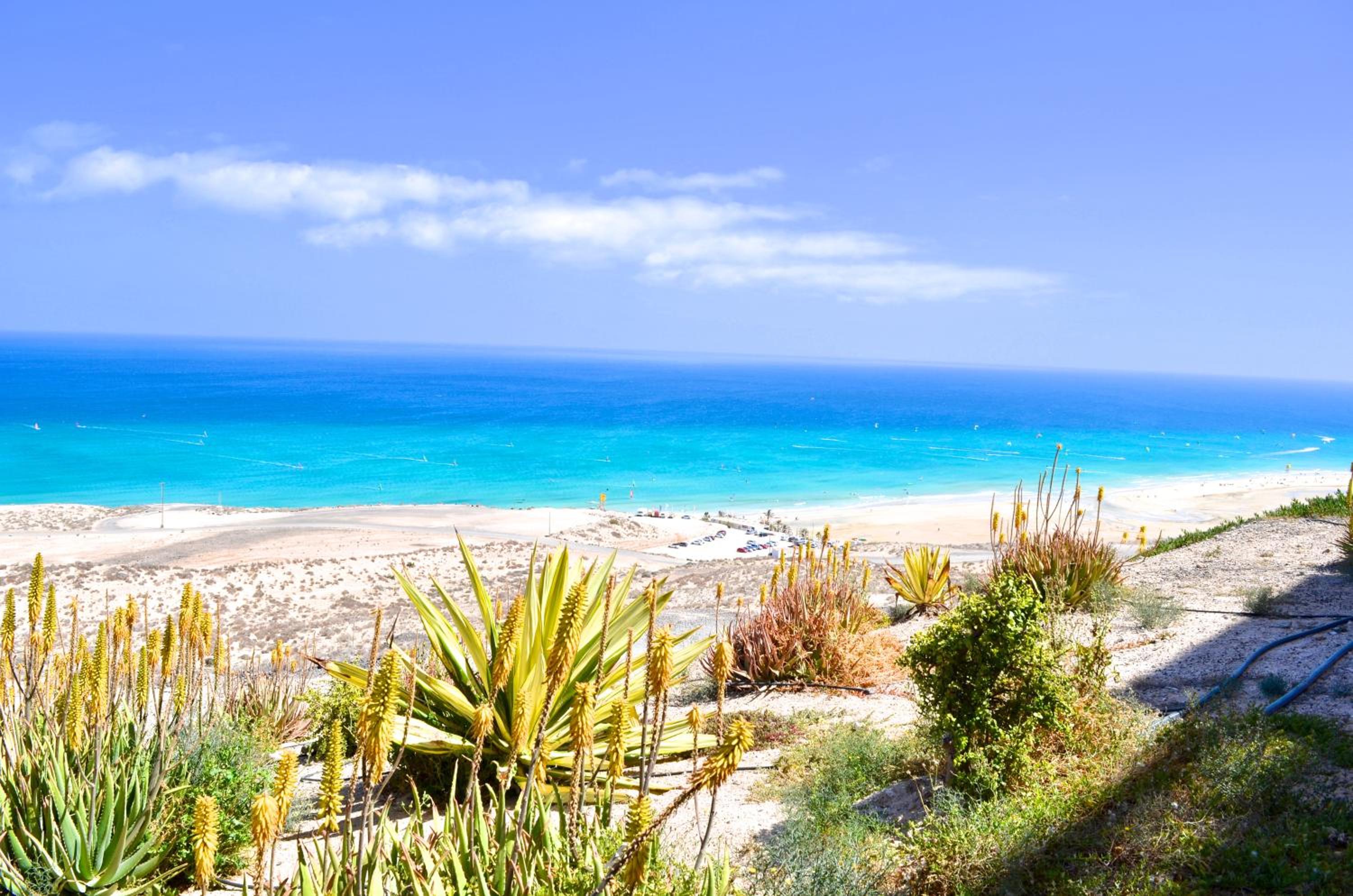 Residencial Playa Paraiso view 3