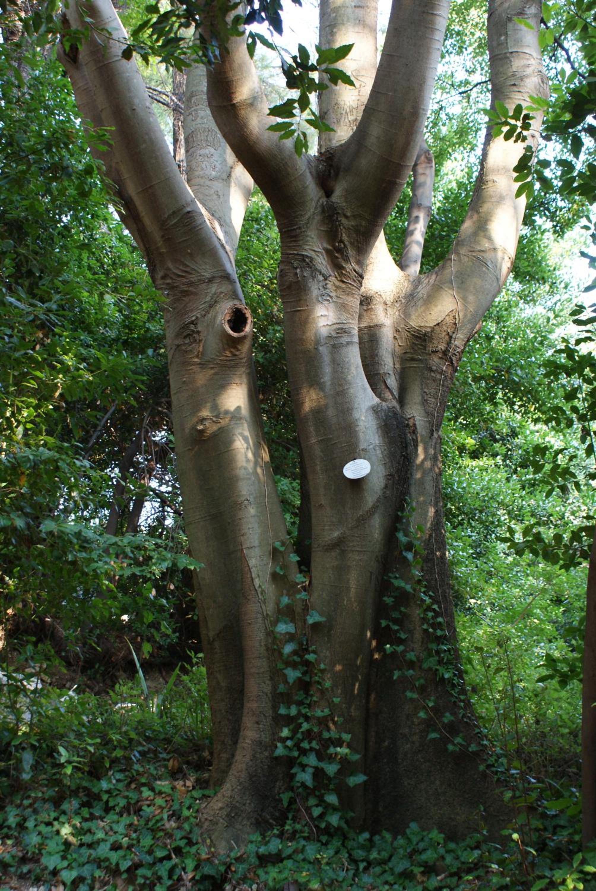 Photo 44