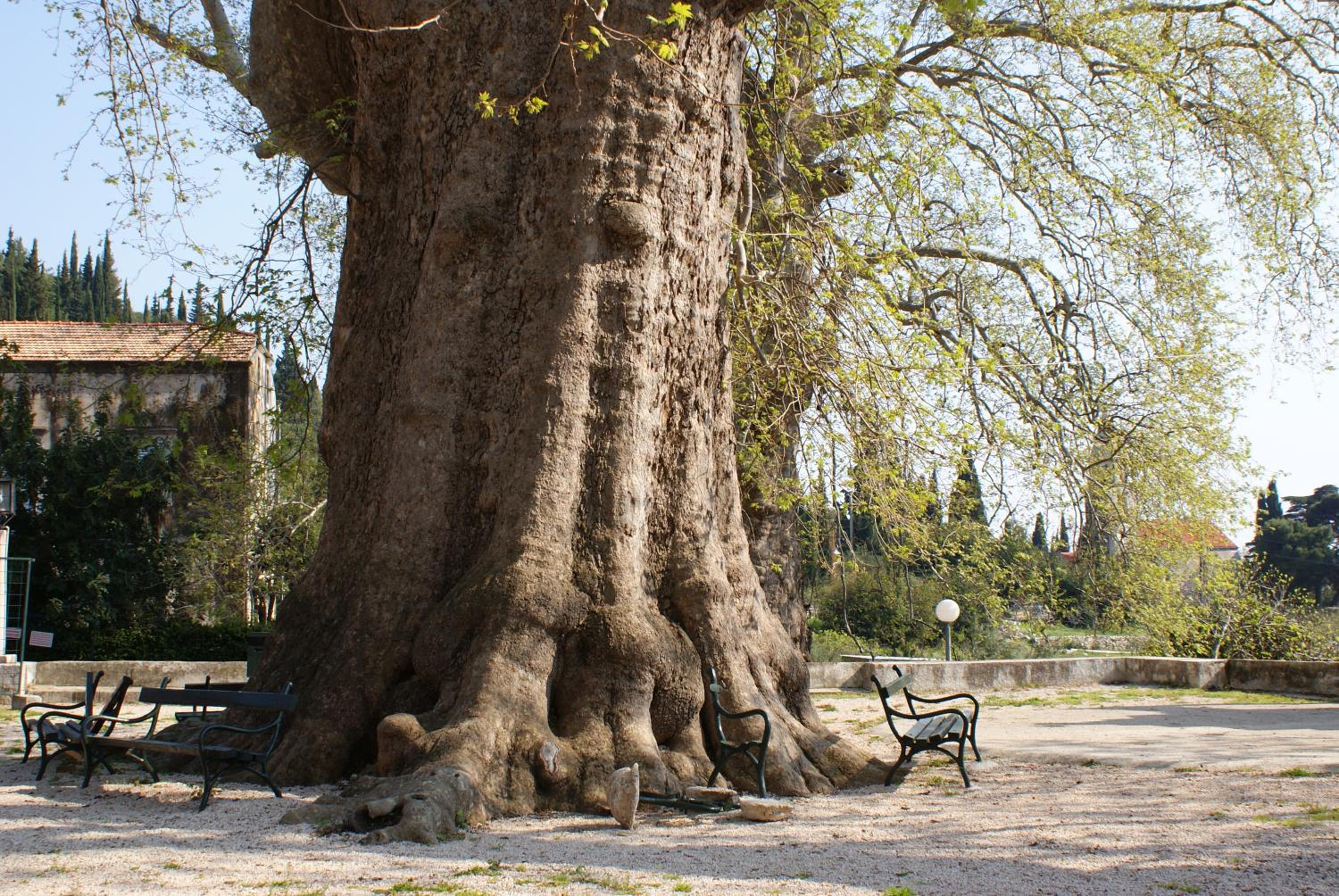 Photo 48