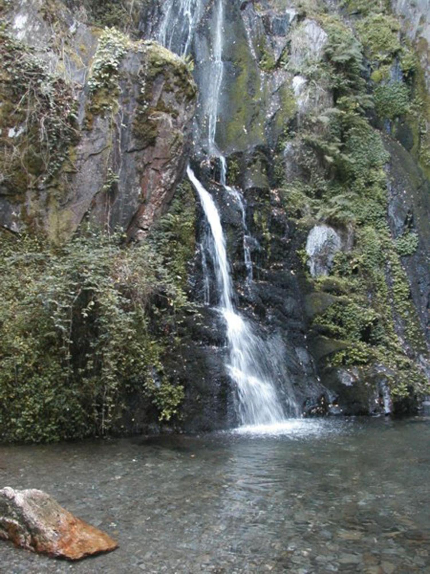 Photo 25