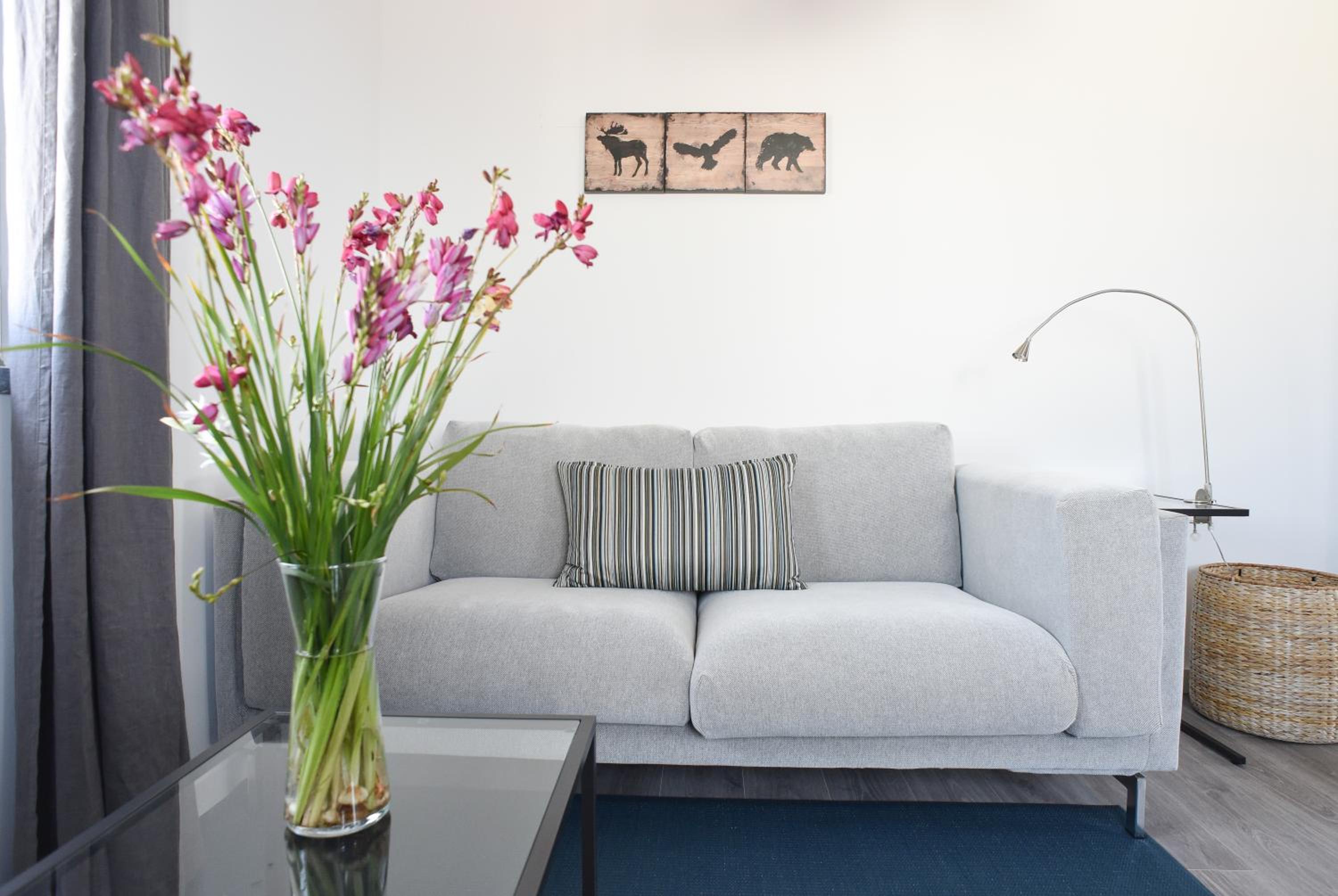 Casas do Pinheiro view 5