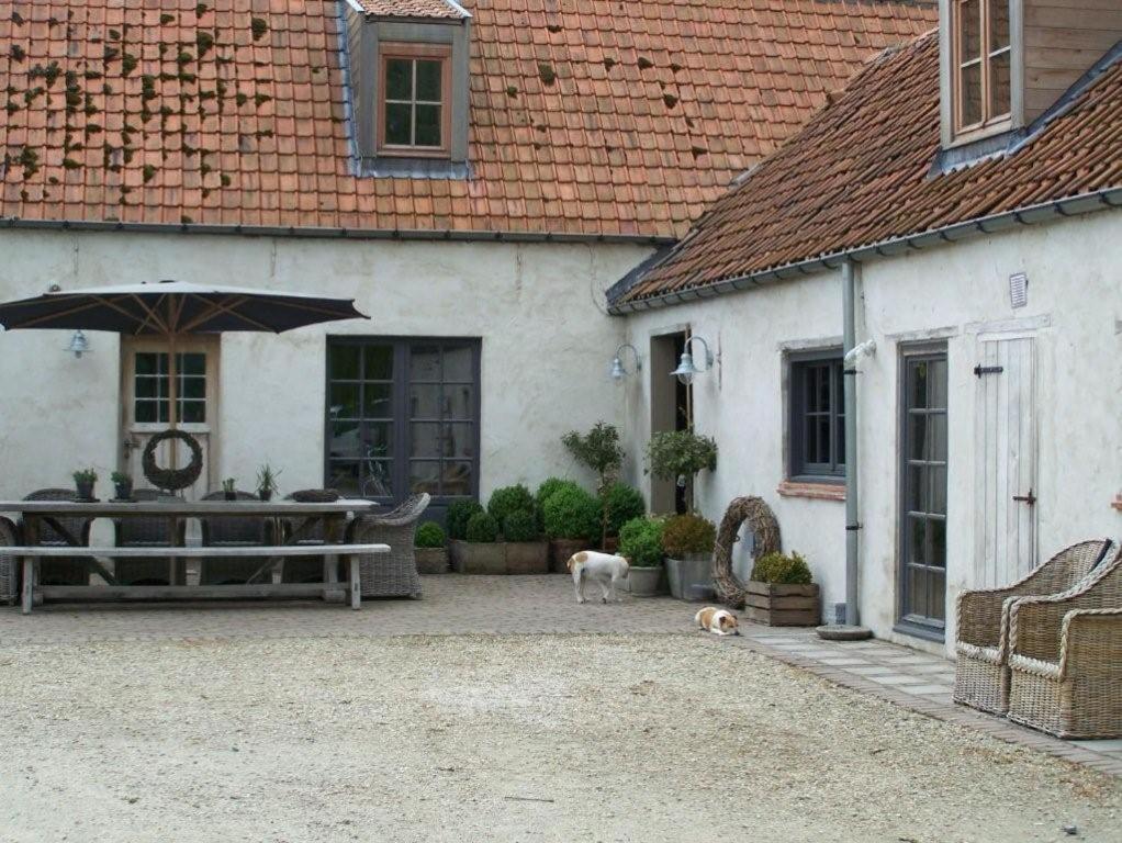 Photo 21
