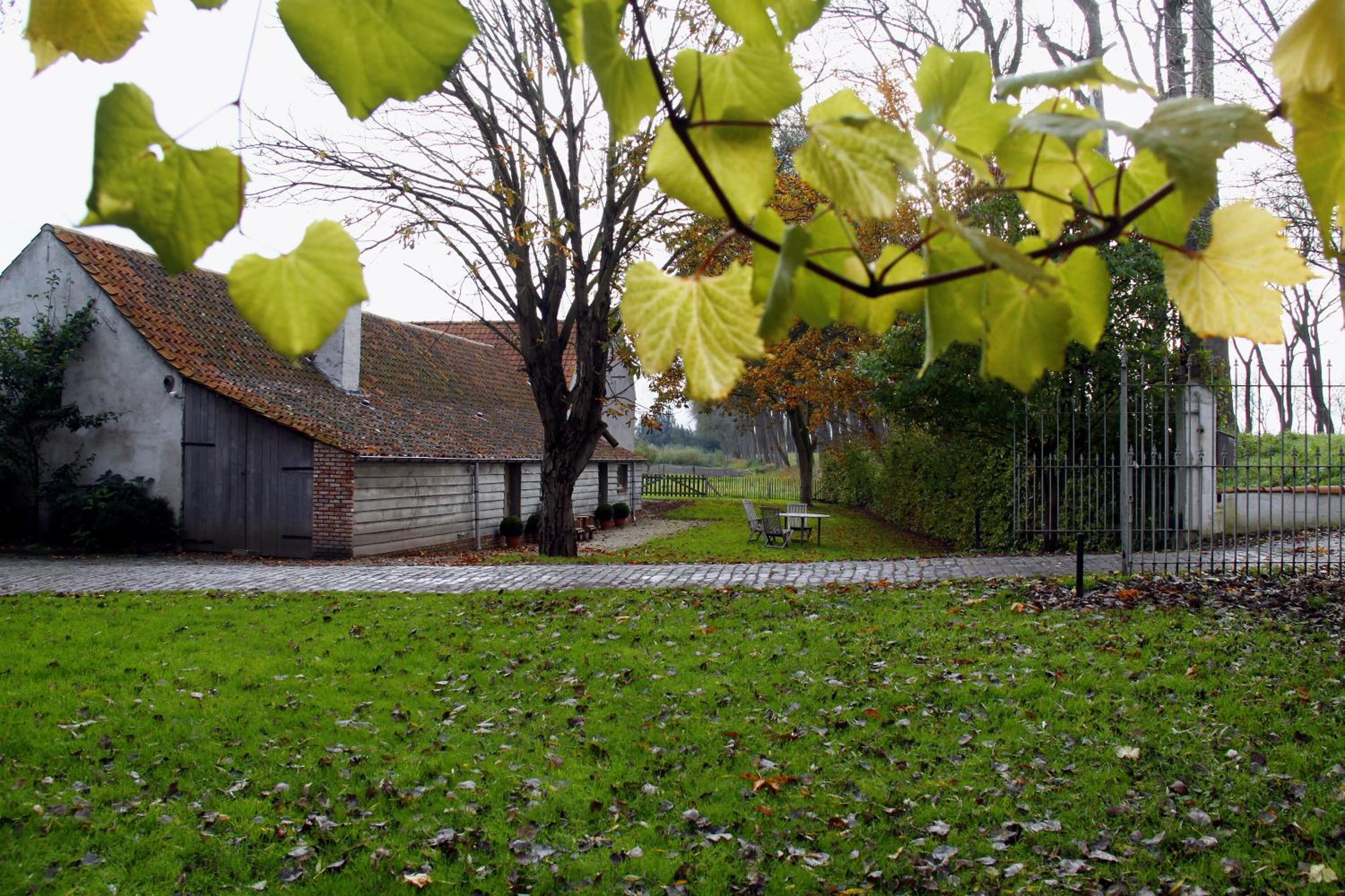 Photo 22
