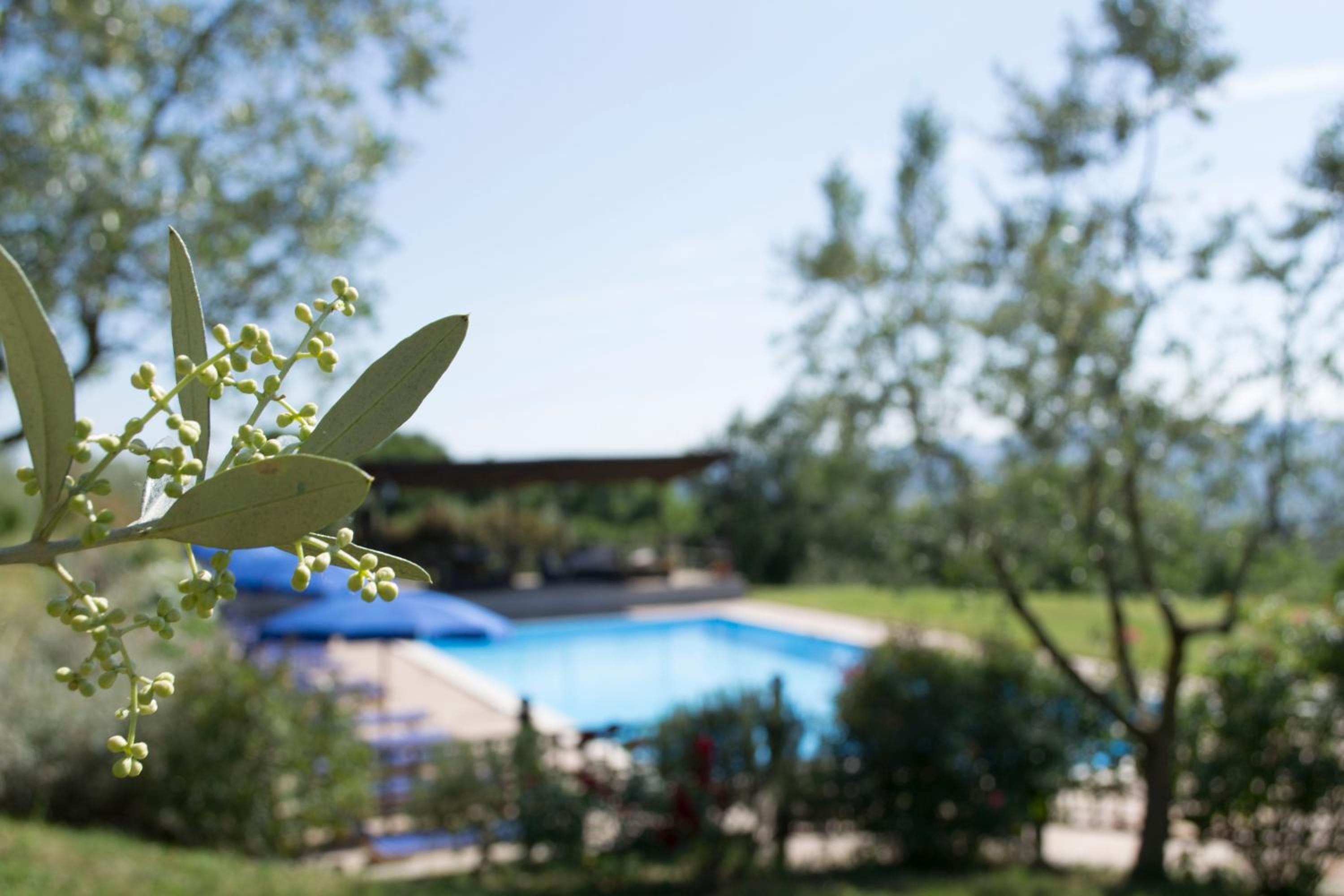 Agriturismo Cornieto view 3