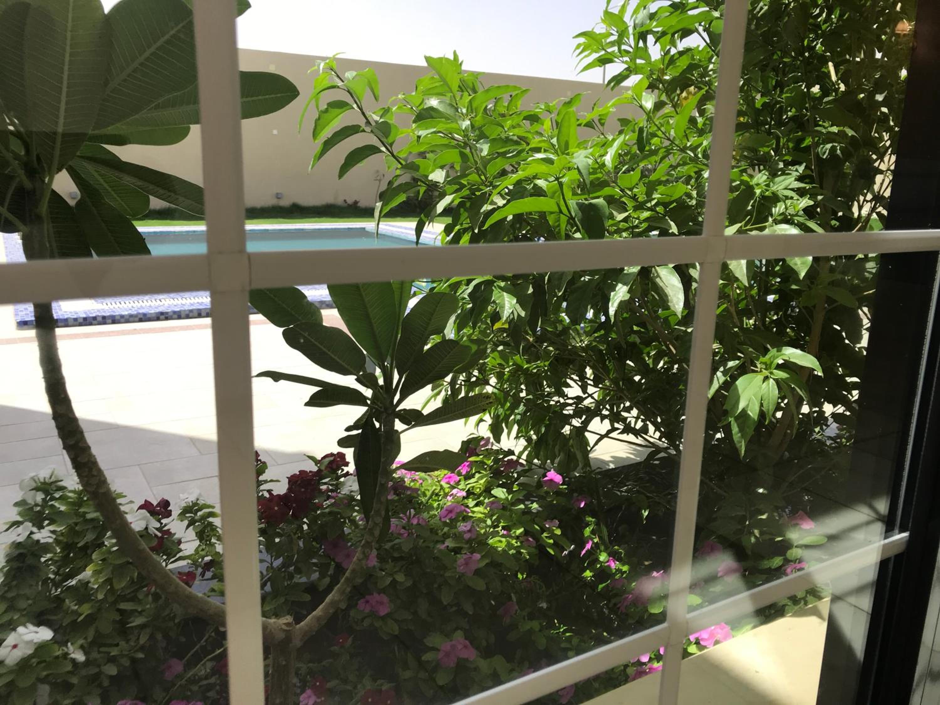 Marbel Chalet view 4