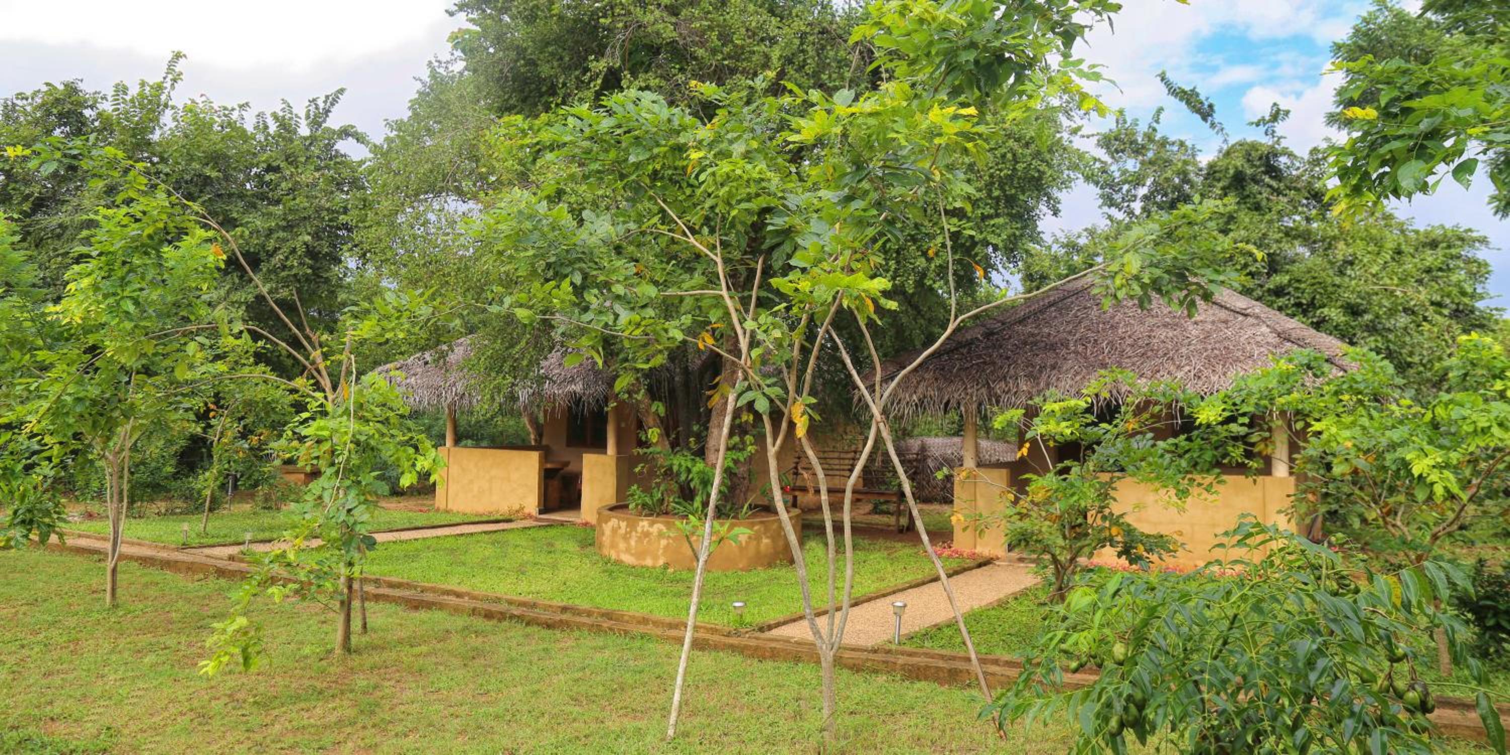 Hotel Niyagala Lodge Sigiriya