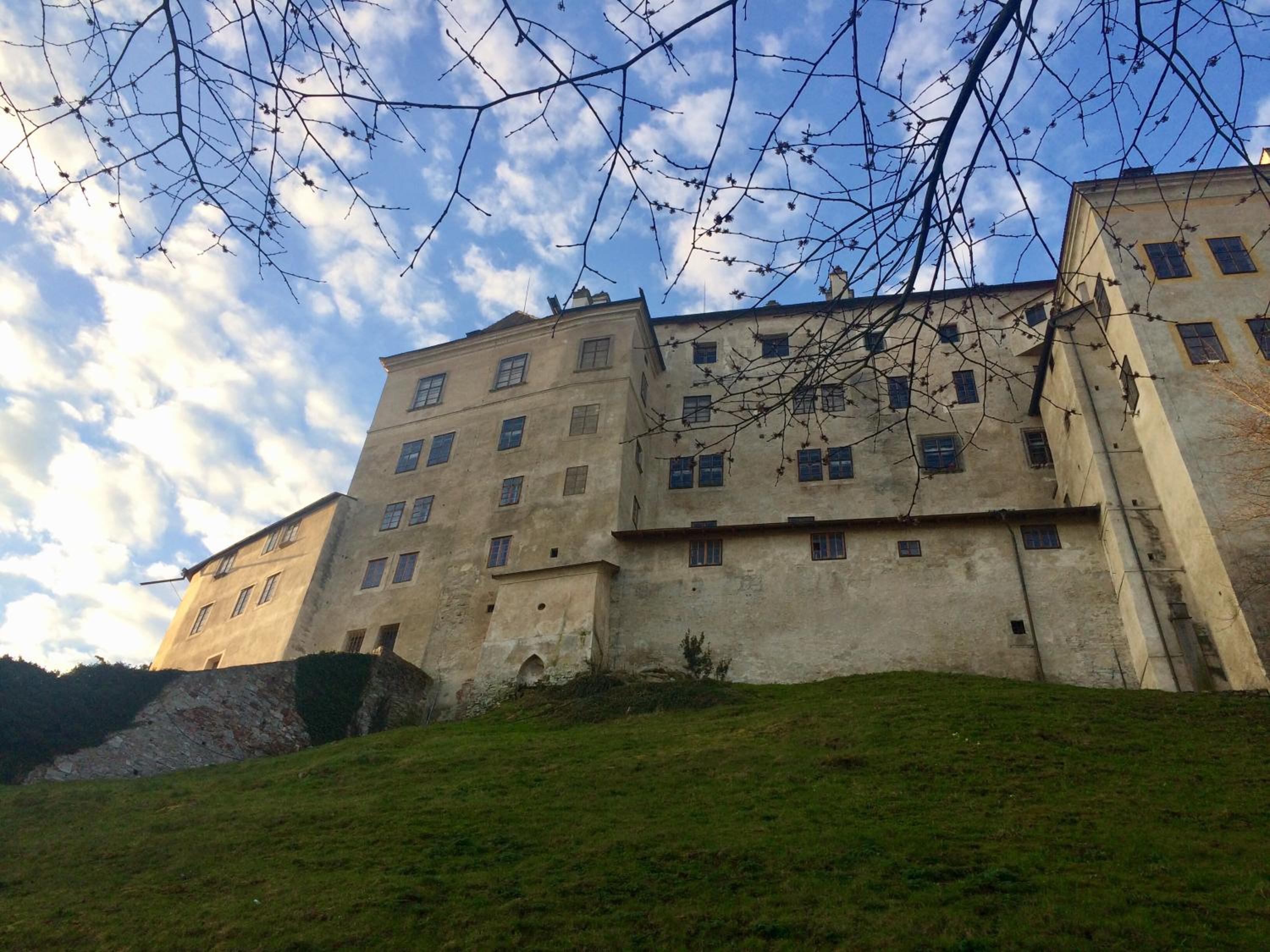 Apartment 23