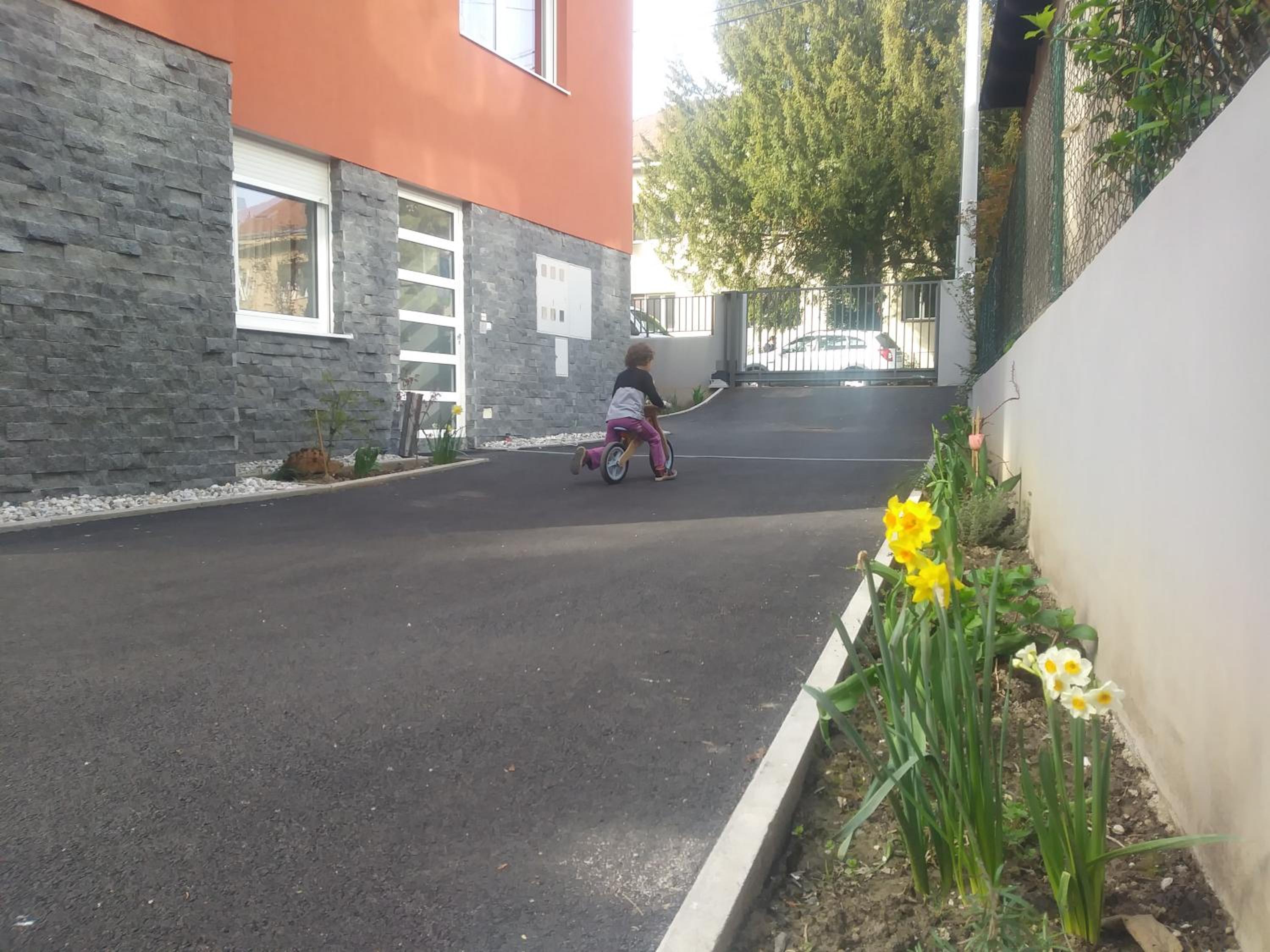 Photo 27