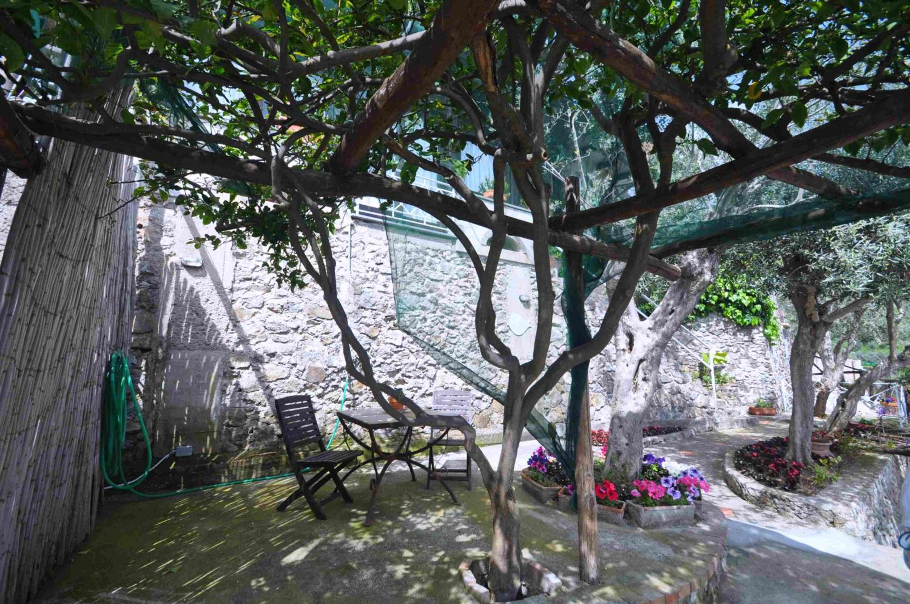 Star Fish House photo 3