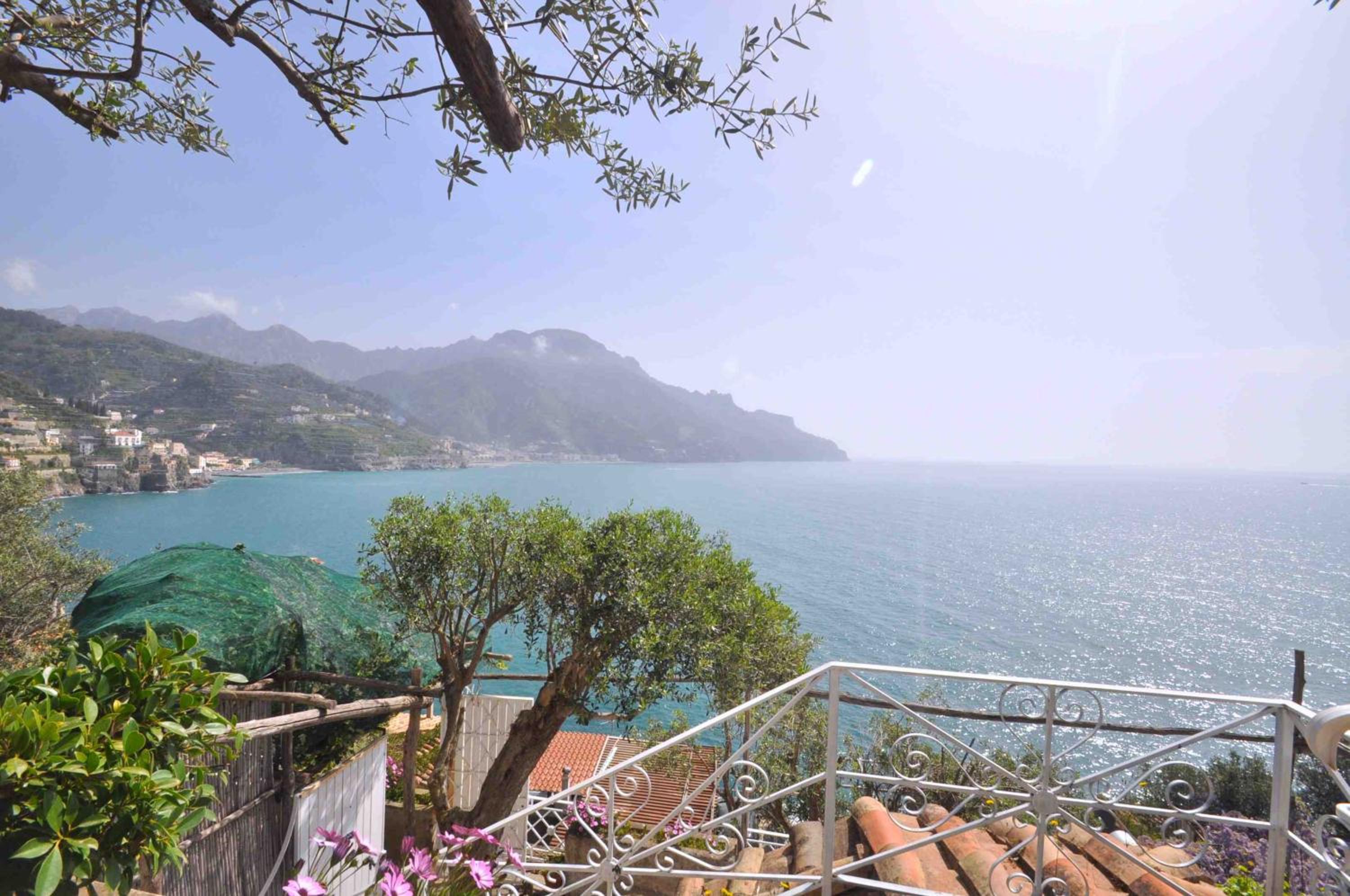 Star Fish House photo 2