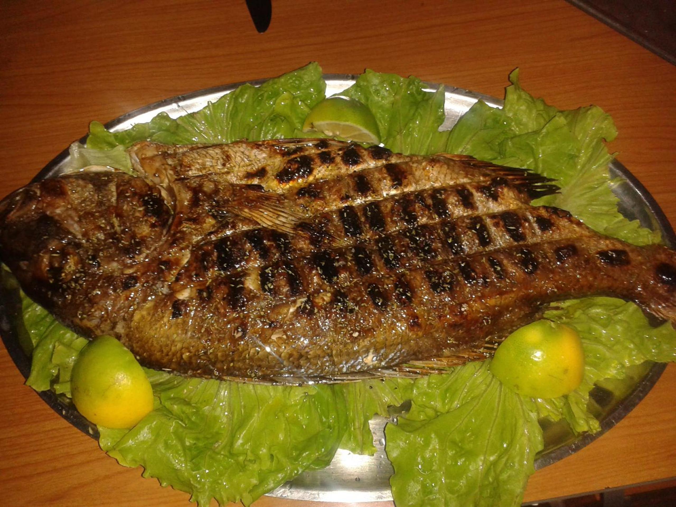 Agrotourism Himara