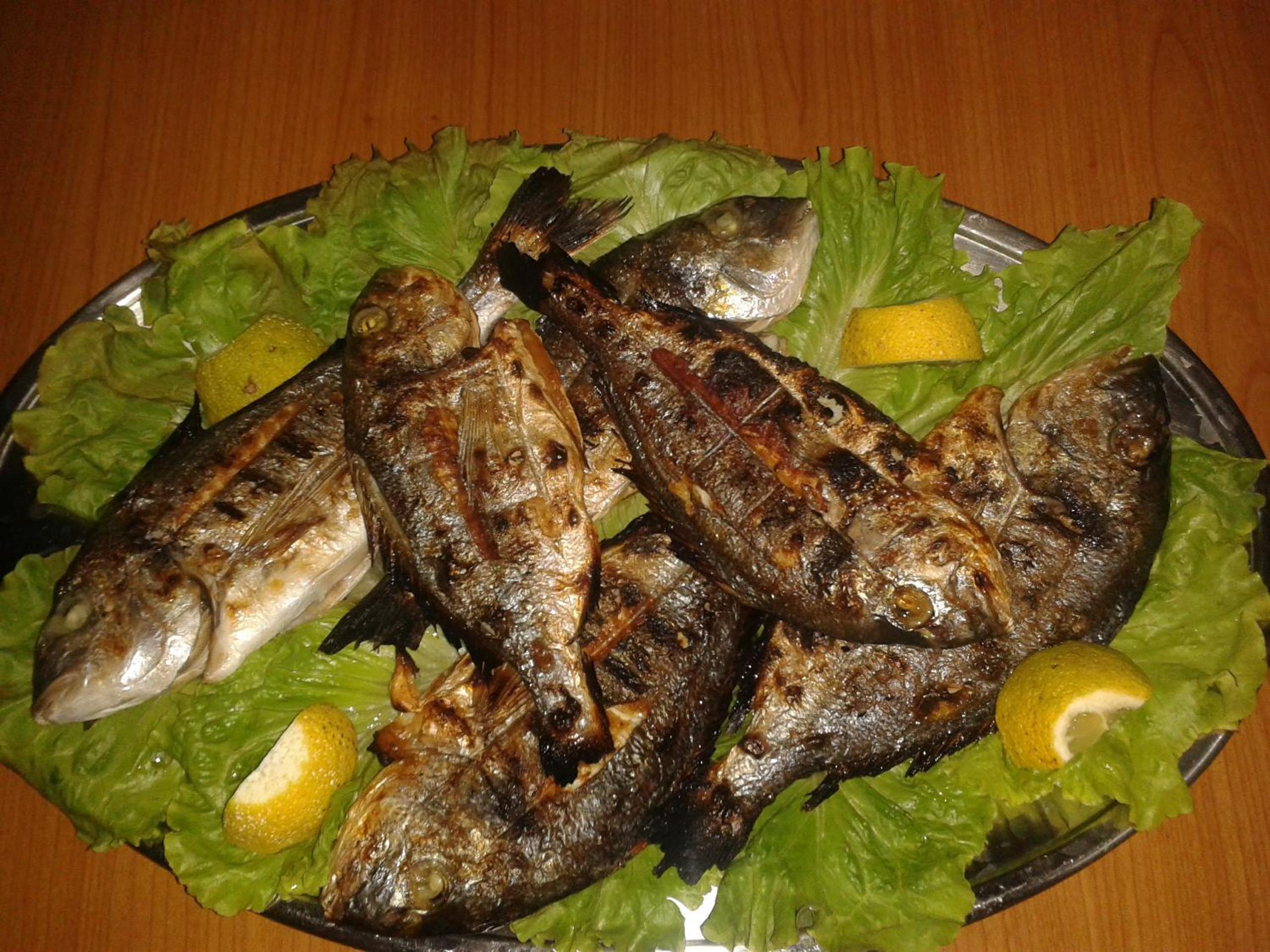 Agrotourism Himara