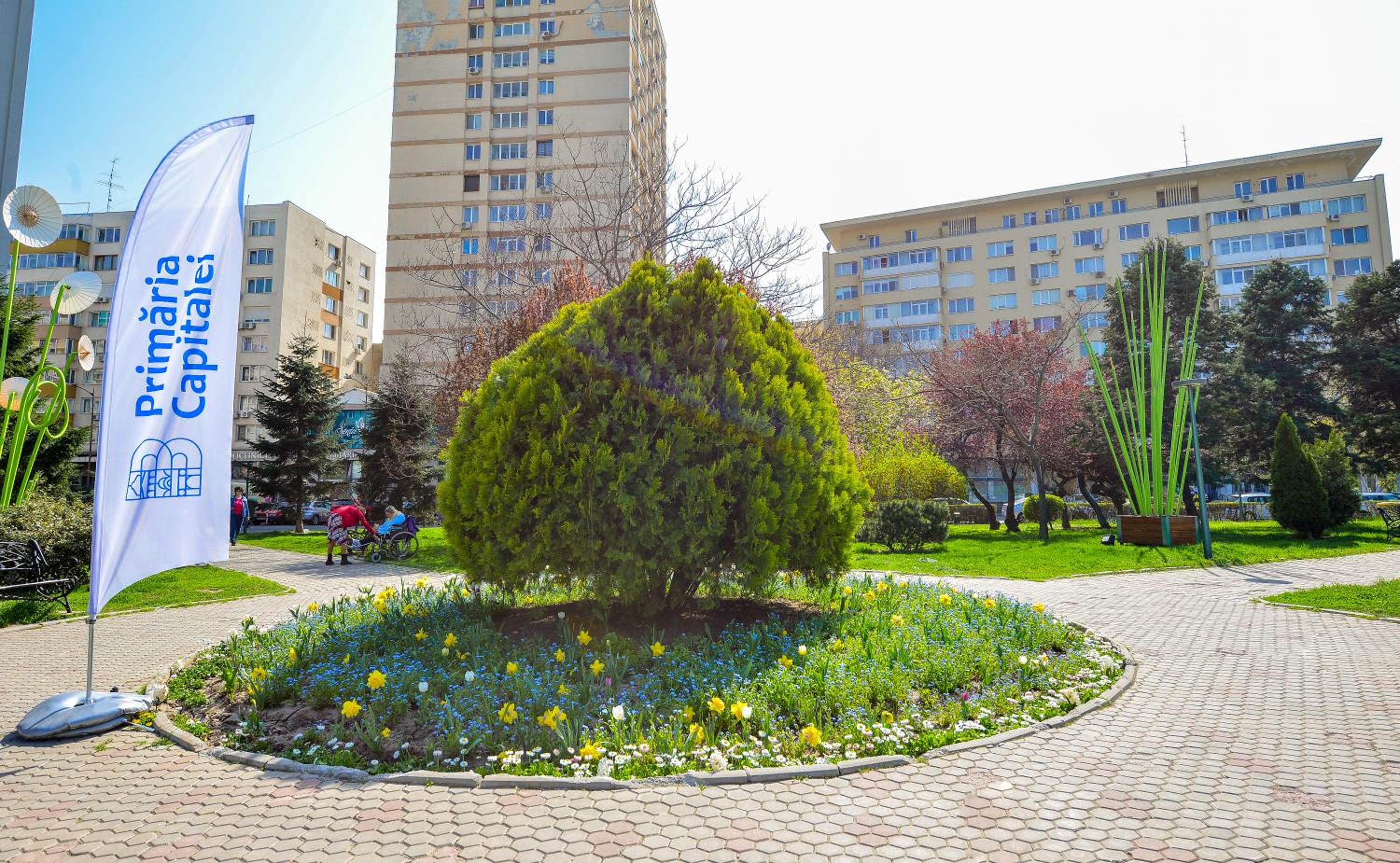 Bucharest Central Apartments & Suites