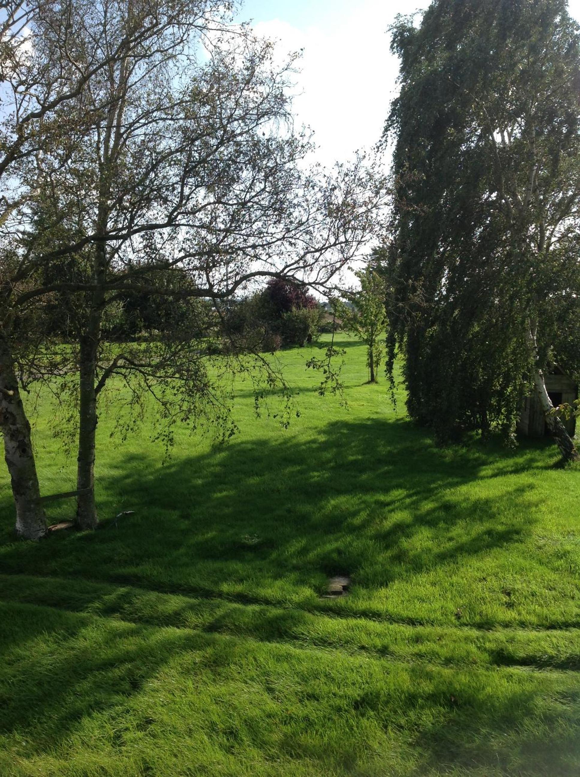 Photo 23